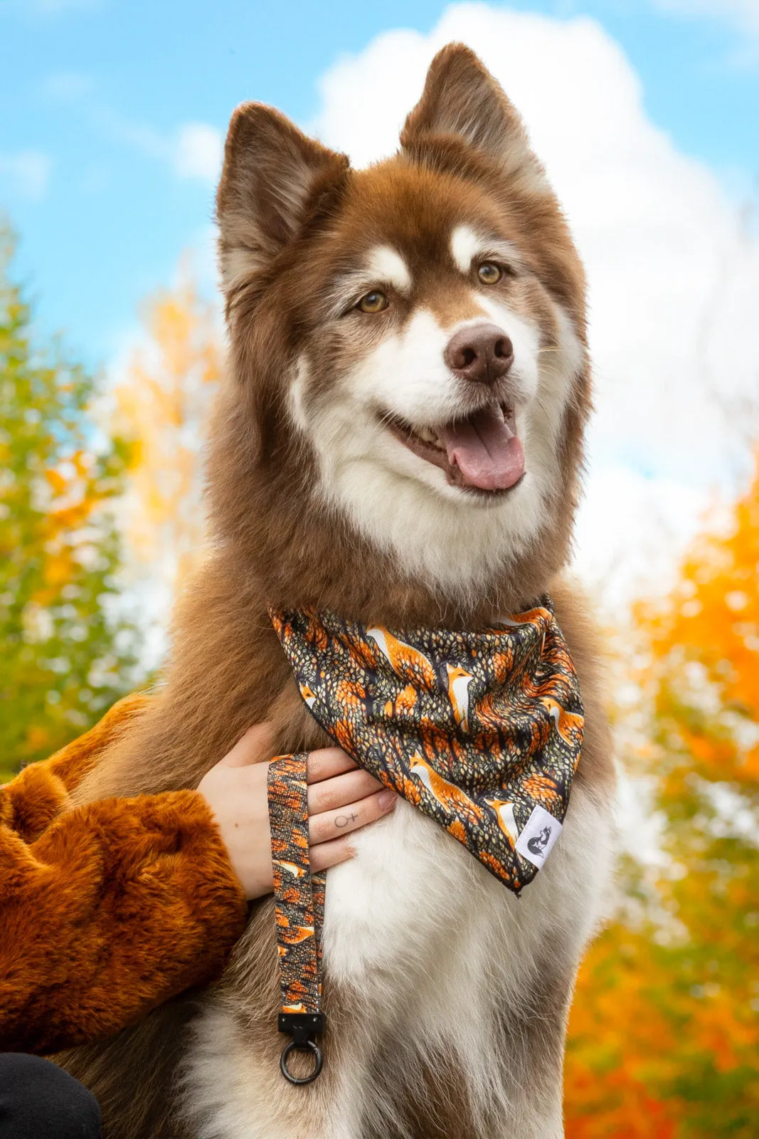 Foxes in Fall Dog Bandana & Matching Keychain - Image 2