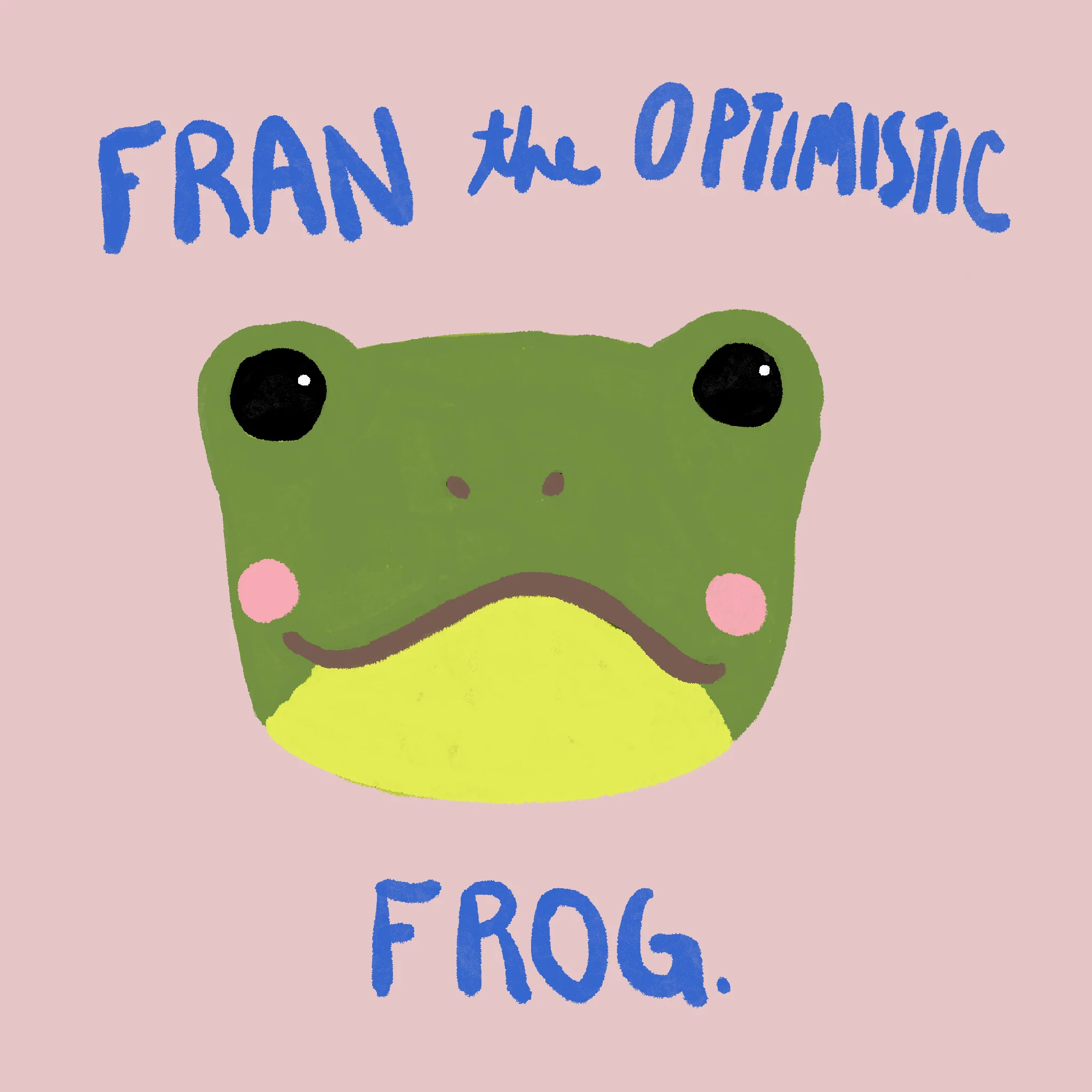 Fran the Optimistic Frog - Image 3