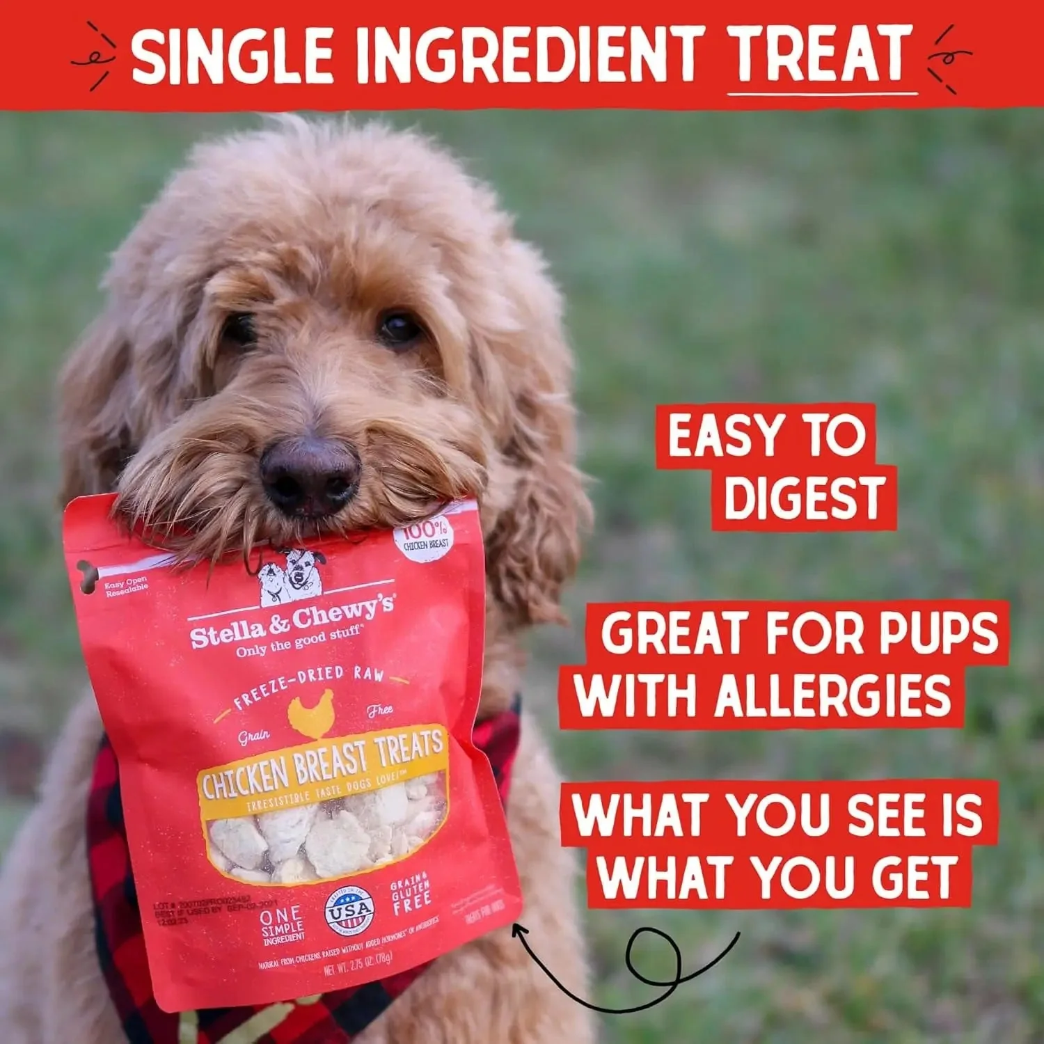 Freeze-Dried Raw Chicken Breast Dog Treats - Single Ingredient, No Additives - Premium Training Treats - Perfect for Picky Eaters - 2.75Oz Bag - Image 2