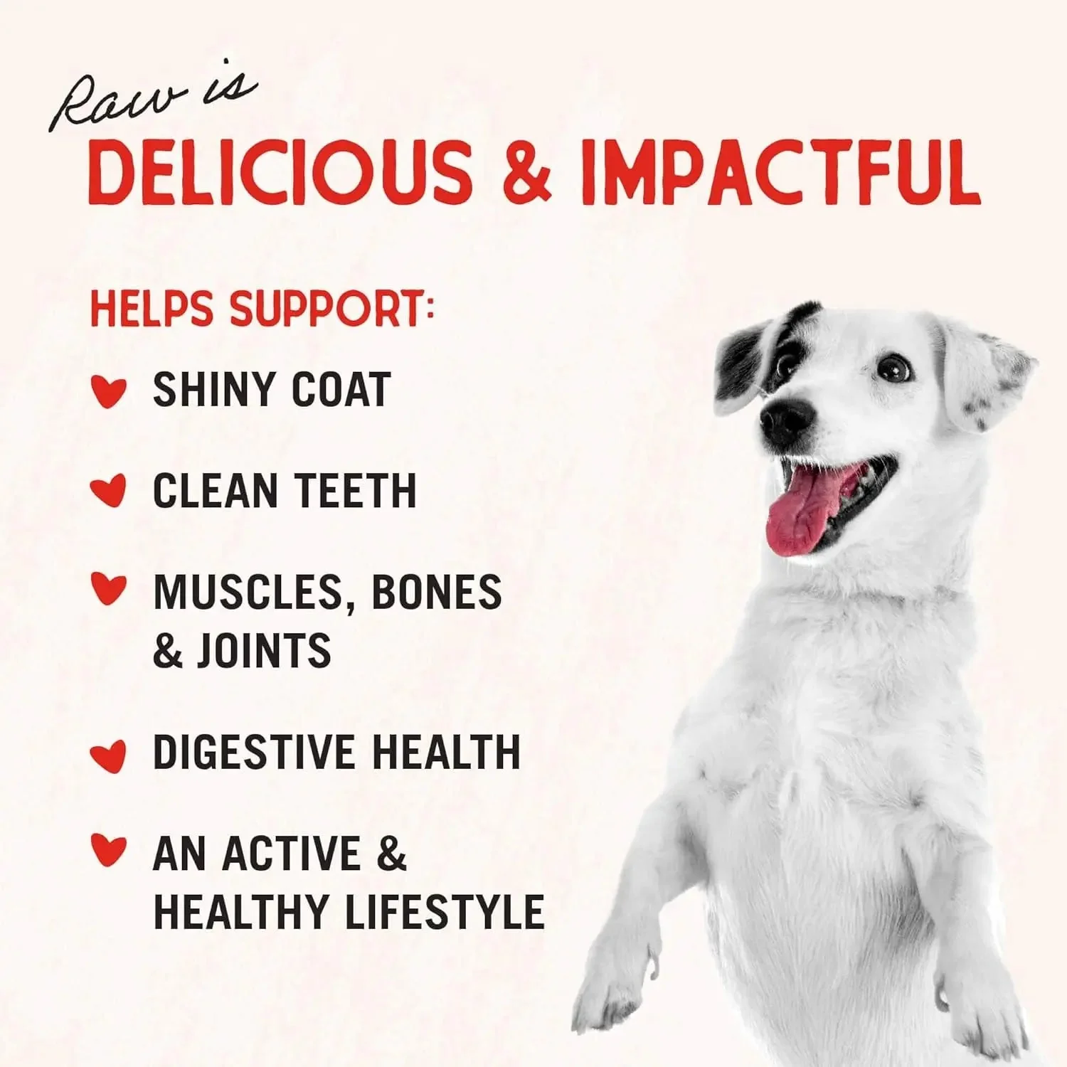 Freeze-Dried Raw Chicken Breast Dog Treats - Single Ingredient, No Additives - Premium Training Treats - Perfect for Picky Eaters - 2.75Oz Bag - Image 5