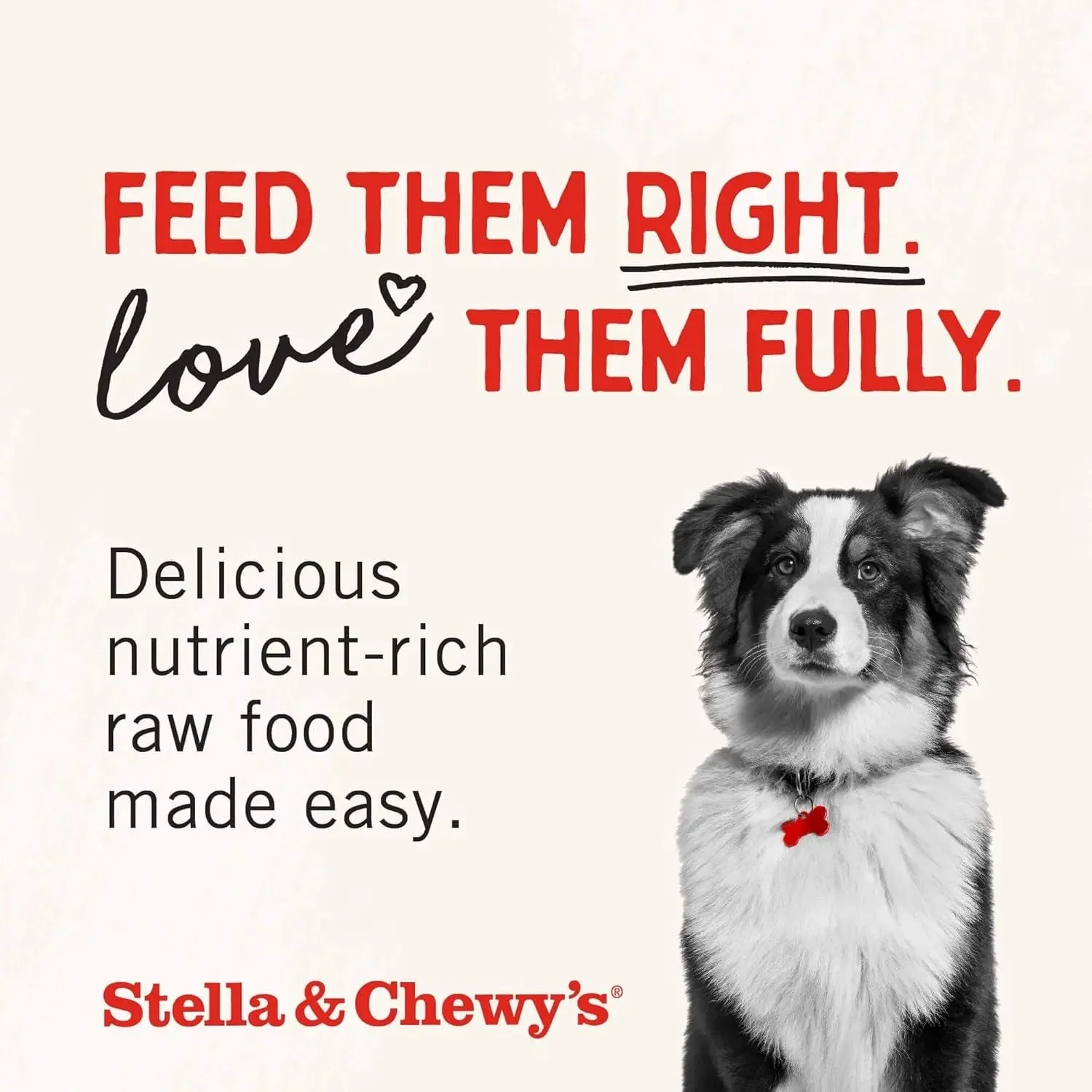 Freeze-Dried Raw Chicken Breast Dog Treats - Single Ingredient, No Additives - Premium Training Treats - Perfect for Picky Eaters - 2.75Oz Bag - Image 9