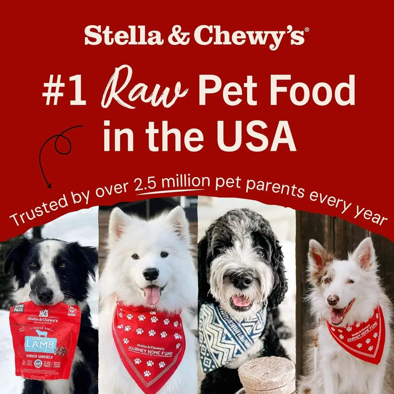 Freeze-Dried Raw Dinner Patties - Beef Recipe - High Protein Grain-Free Puppy & Dog Food - Perfect for Picky Eaters - 14 Oz - Image 7