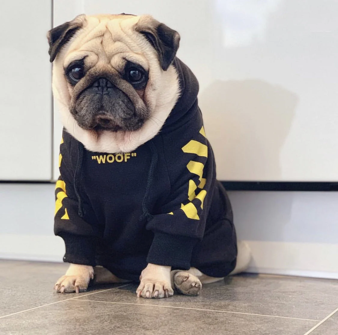 Fresh Pawz Woof Dog Hoodie - Image 14