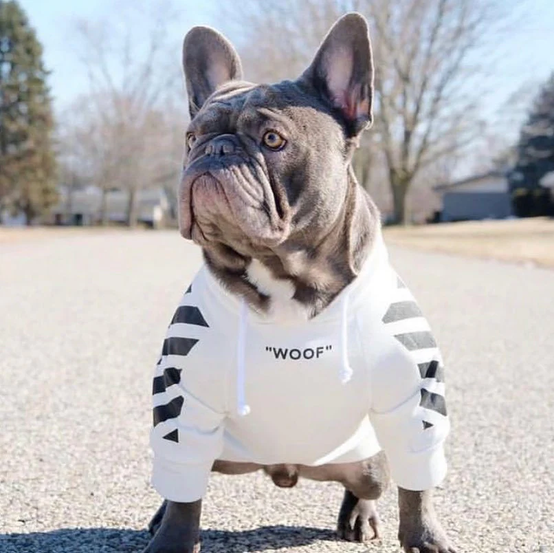 Fresh Pawz Woof Dog Hoodie - Image 17