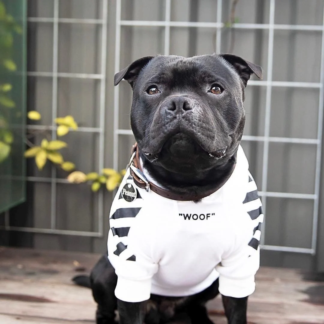 Fresh Pawz Woof Dog Hoodie - Image 18