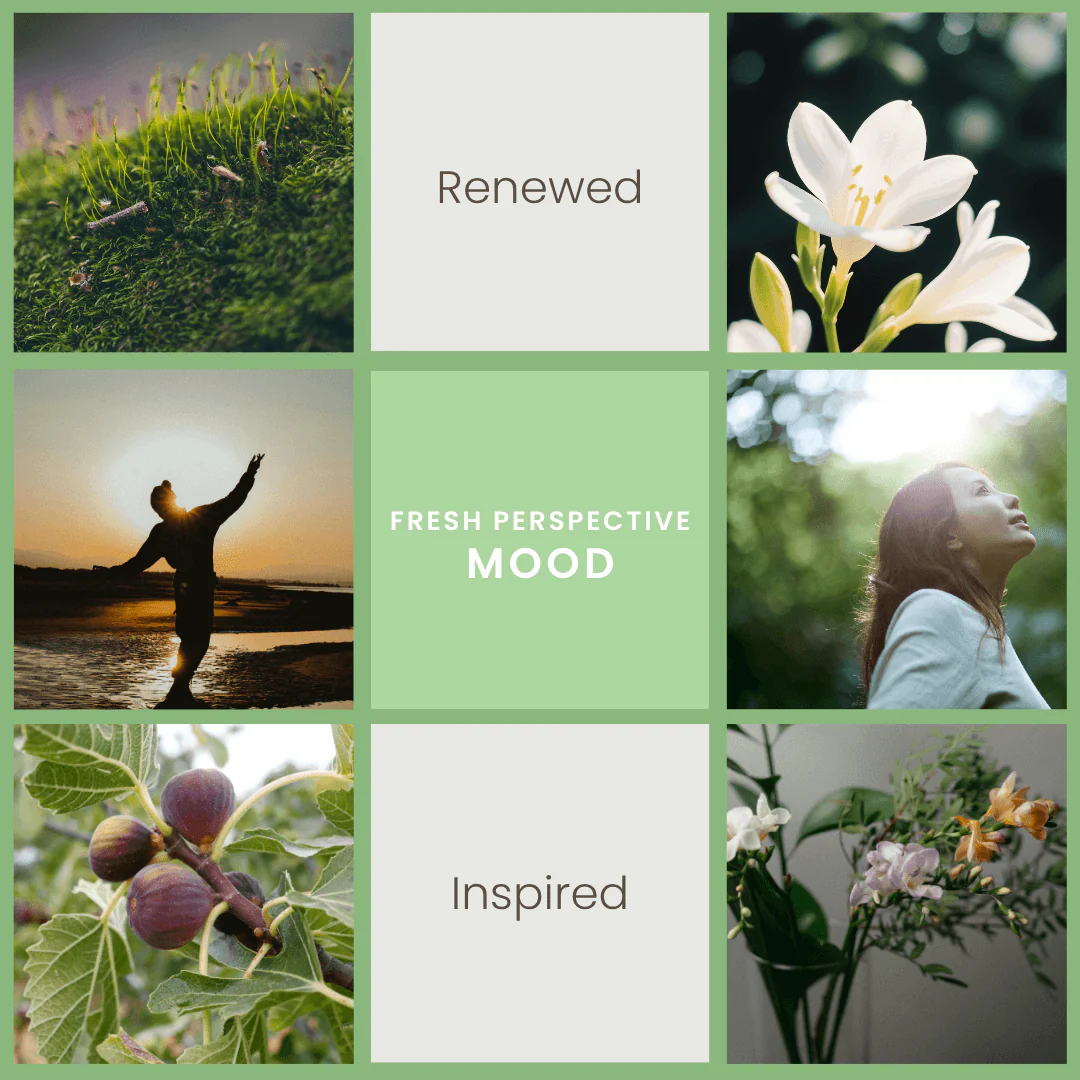 Fresh Perspective – Bamboo & Jasmine Soy Wax Melts - Image 2