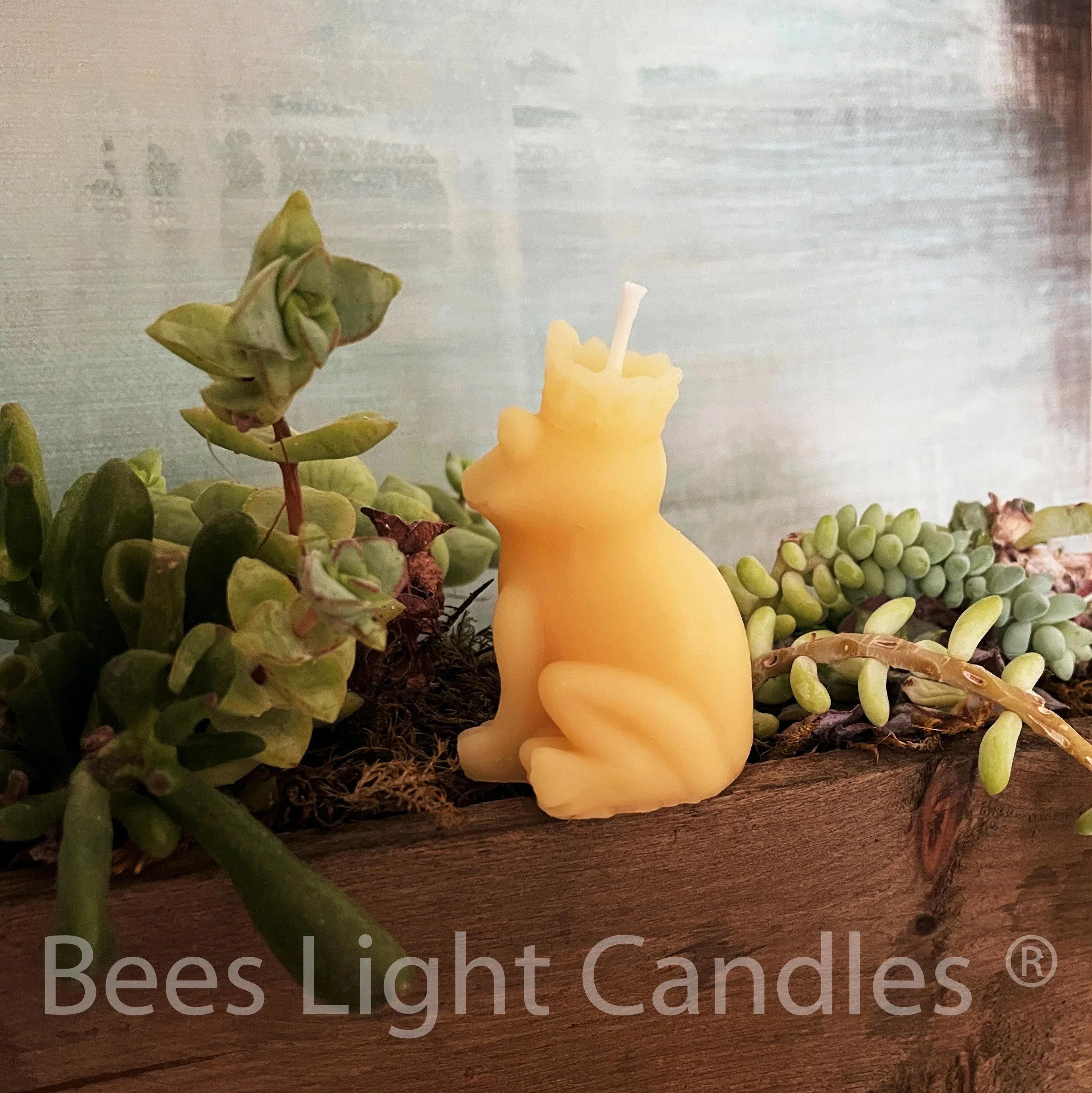 Frog Prince Beeswax Candle - Image 4