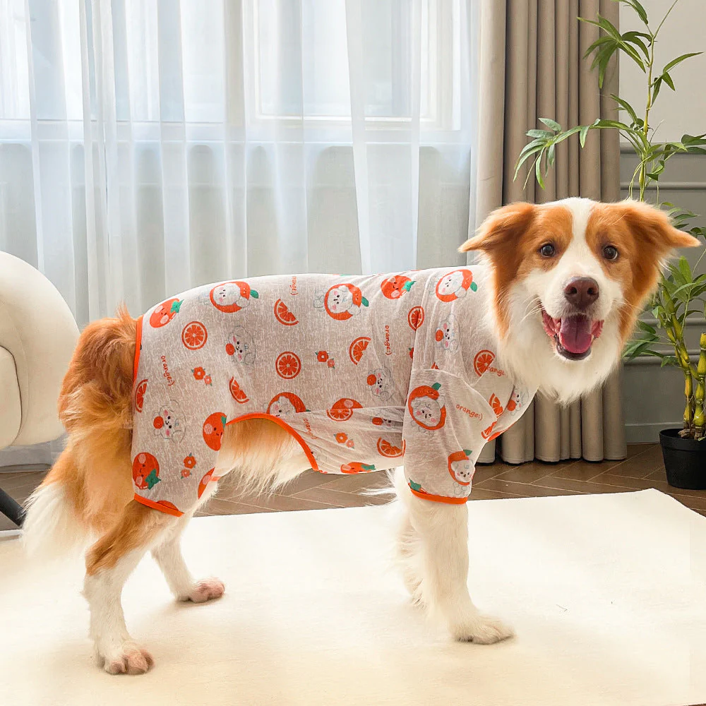 Fruit & Floral Breathable Dog Recovery Pajamas (4 Patterns) - Image 2
