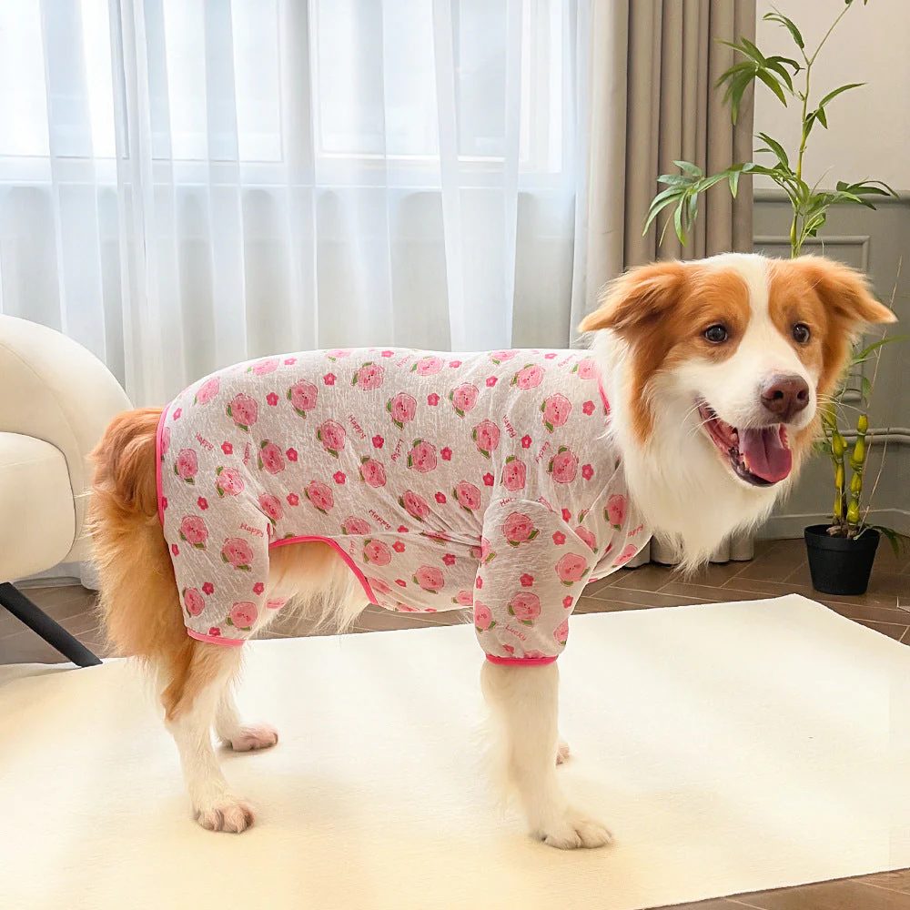 Fruit & Floral Breathable Dog Recovery Pajamas (4 Patterns) - Image 3