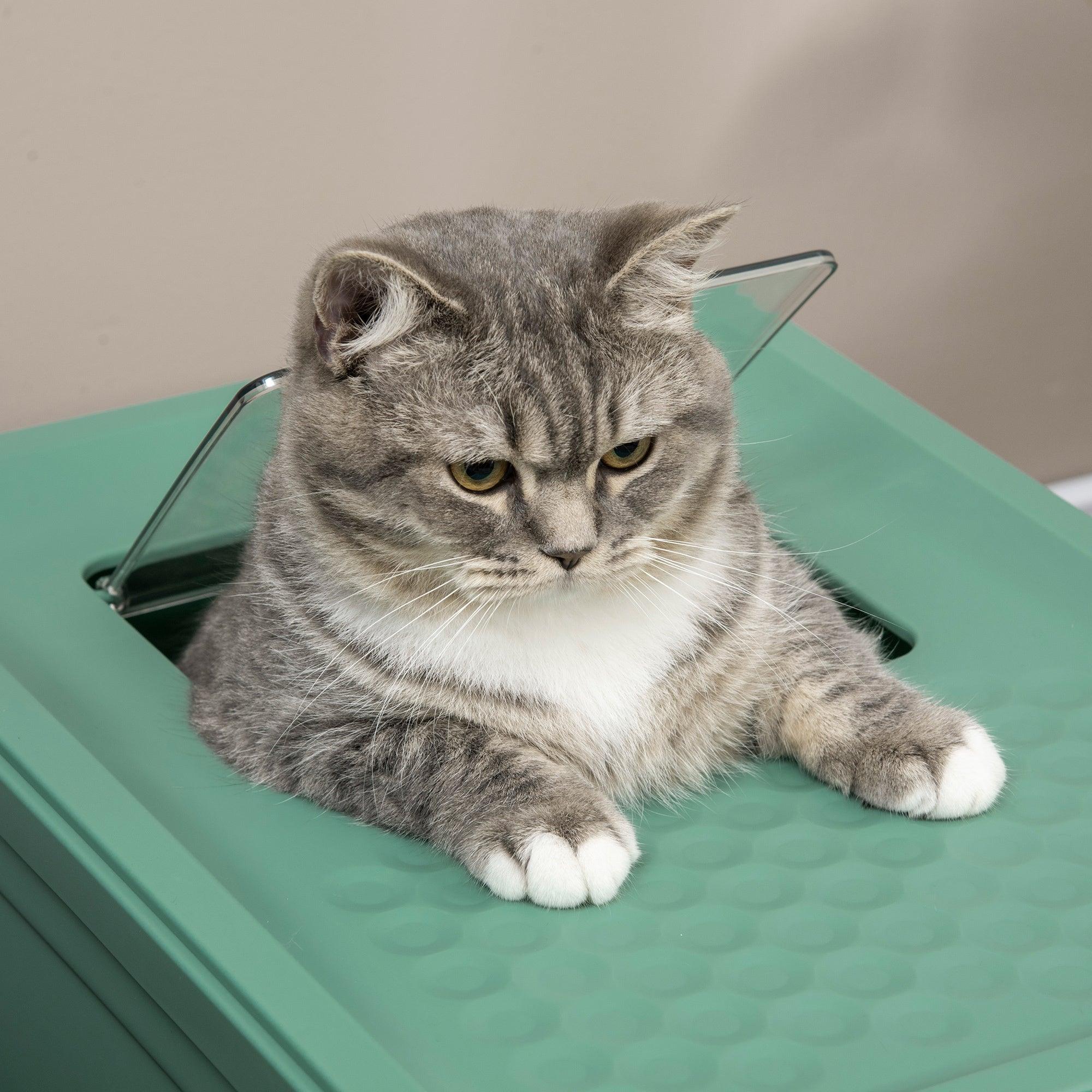 Fully Enclosed Cat Litter Box - Image 3