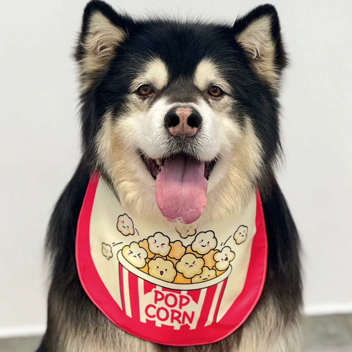 Funny Cartoon Dog Bandana Bibs (4 Designs) - Image 11