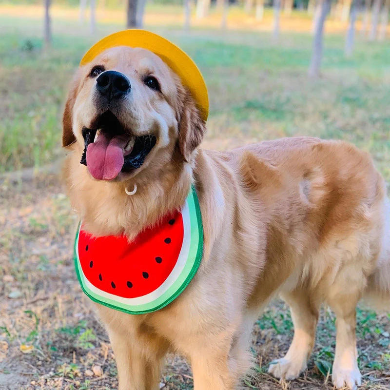 Funny Cartoon Dog Bandana Bibs (4 Designs) - Image 8