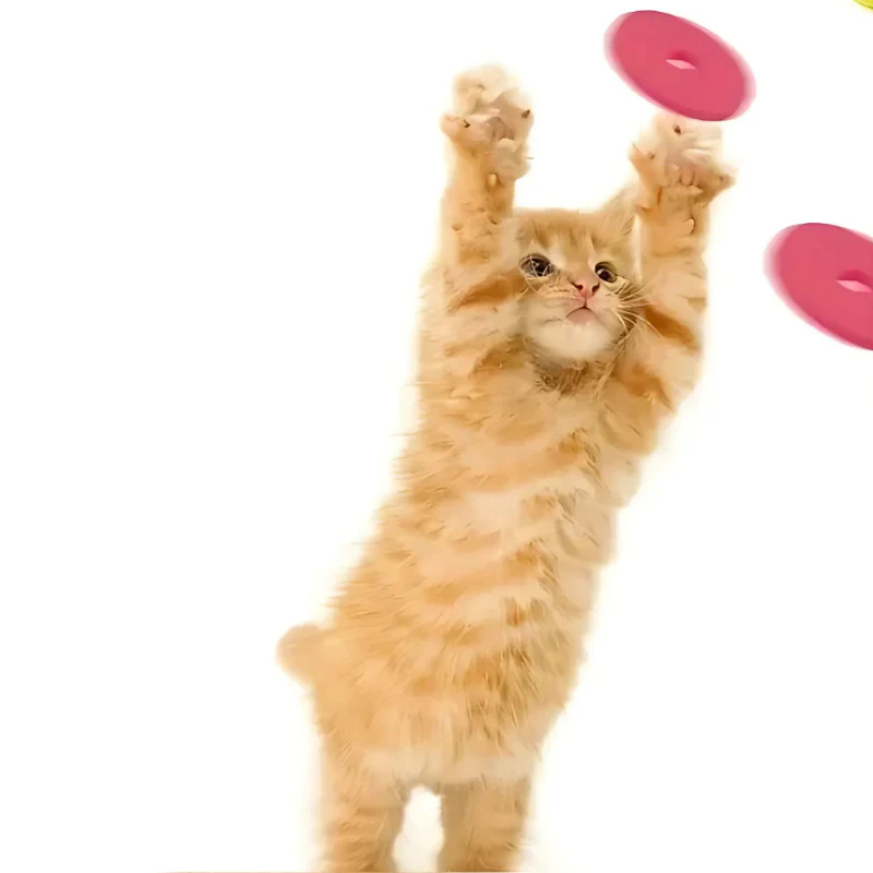 Funny Turnip Gun Cat Toy – Interactive Foam Launcher for Active Cats & Dogs - Image 3