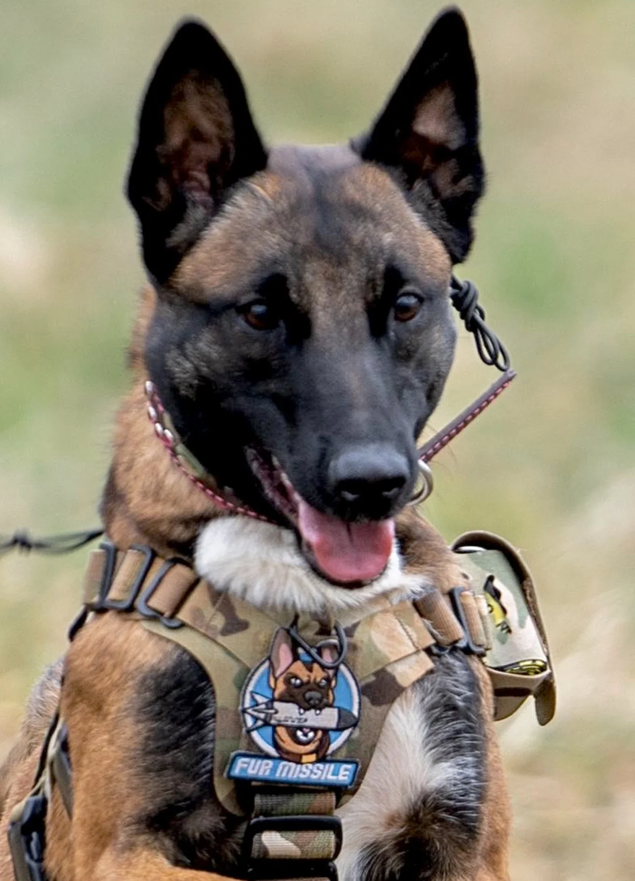 FUR MISSILE Morale Patch - Image 4