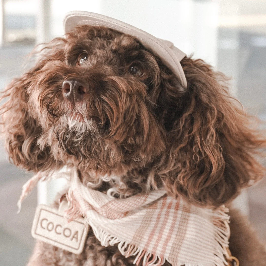 Furever Hat Bundle - Image 5