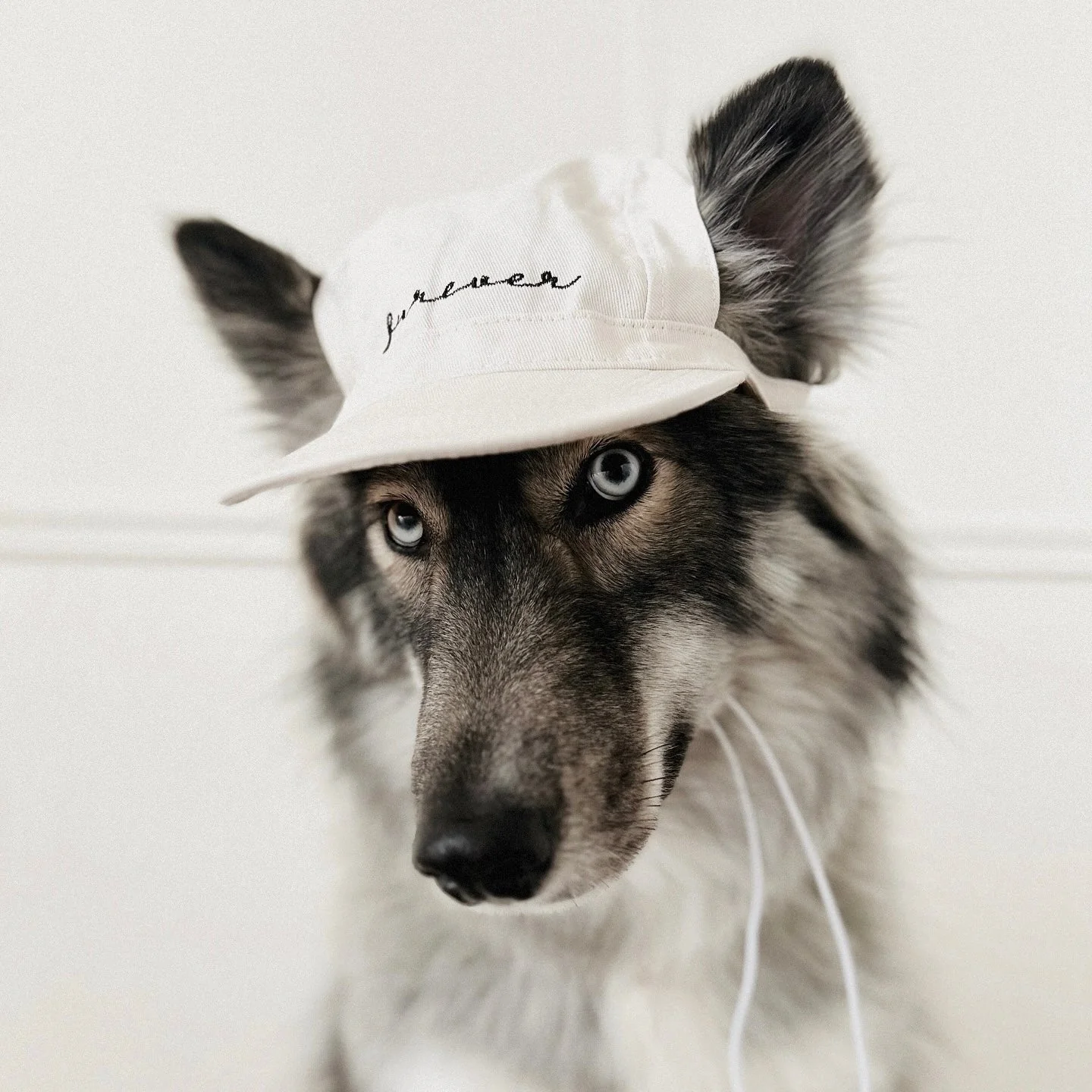 Furever Hat Bundle - Image 8