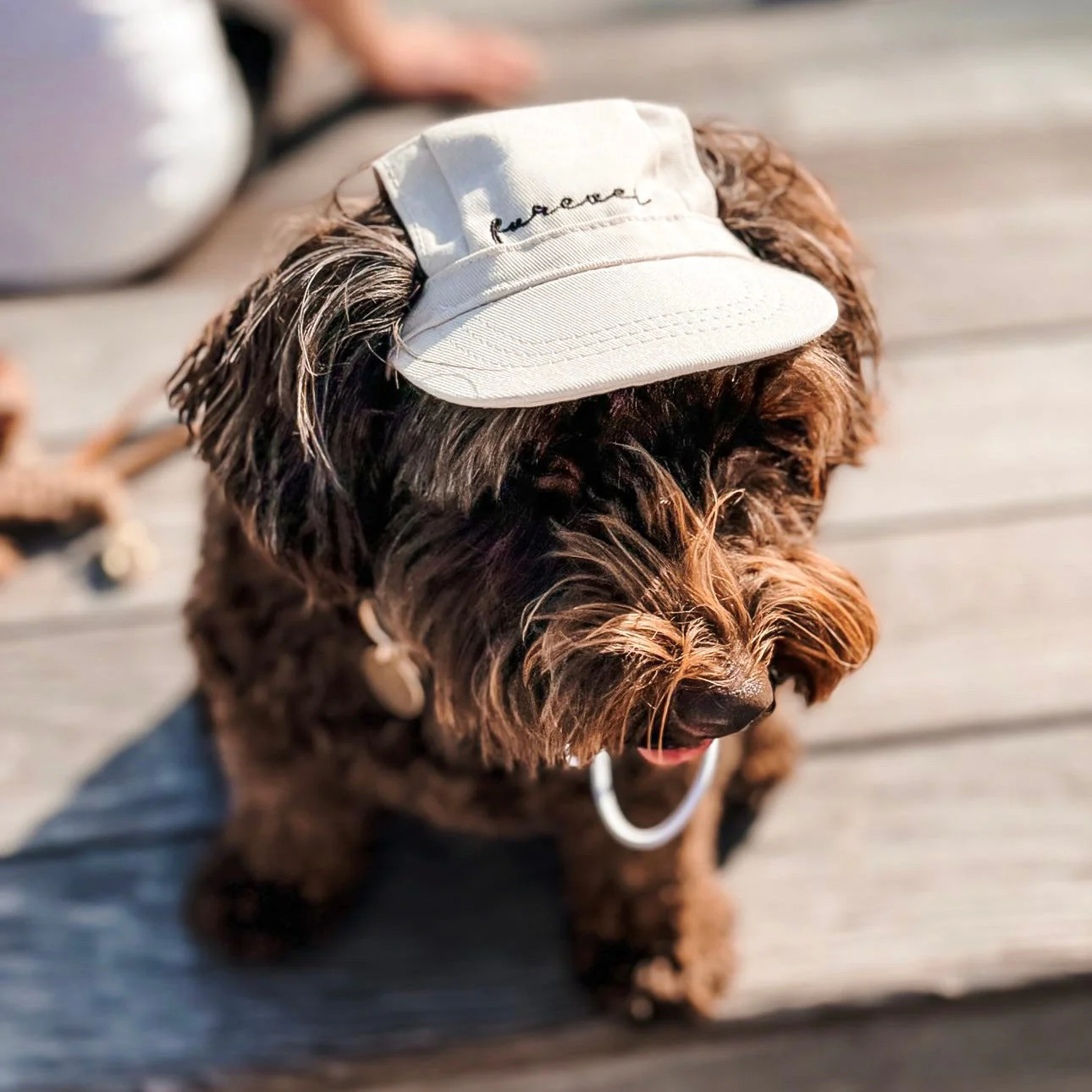 Furever Hat Bundle - Image 9
