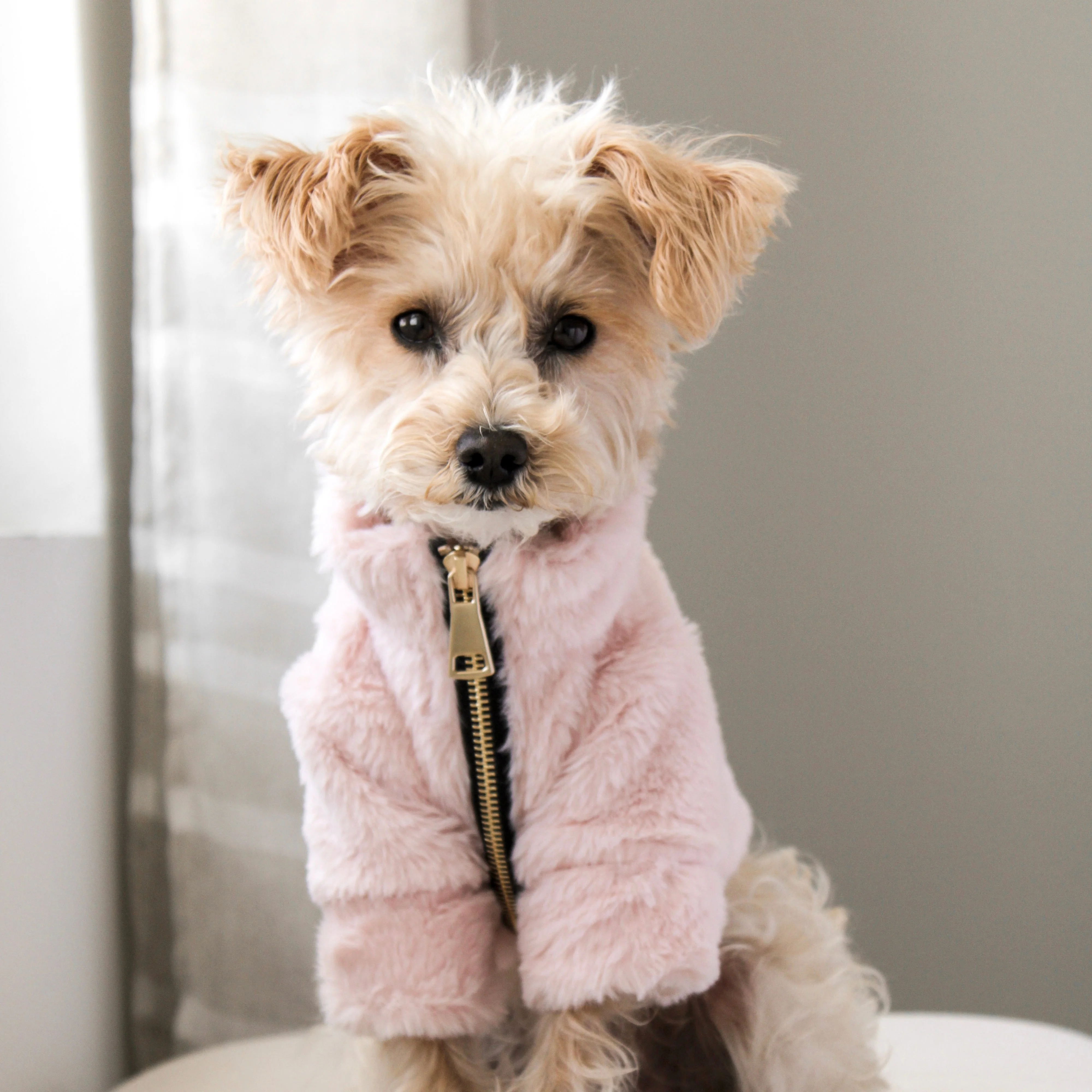 Furi Pet Coat - Rose - Image 3
