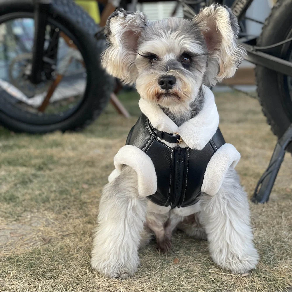Furry Biker Pet Jacket Dog Clothing - Image 3