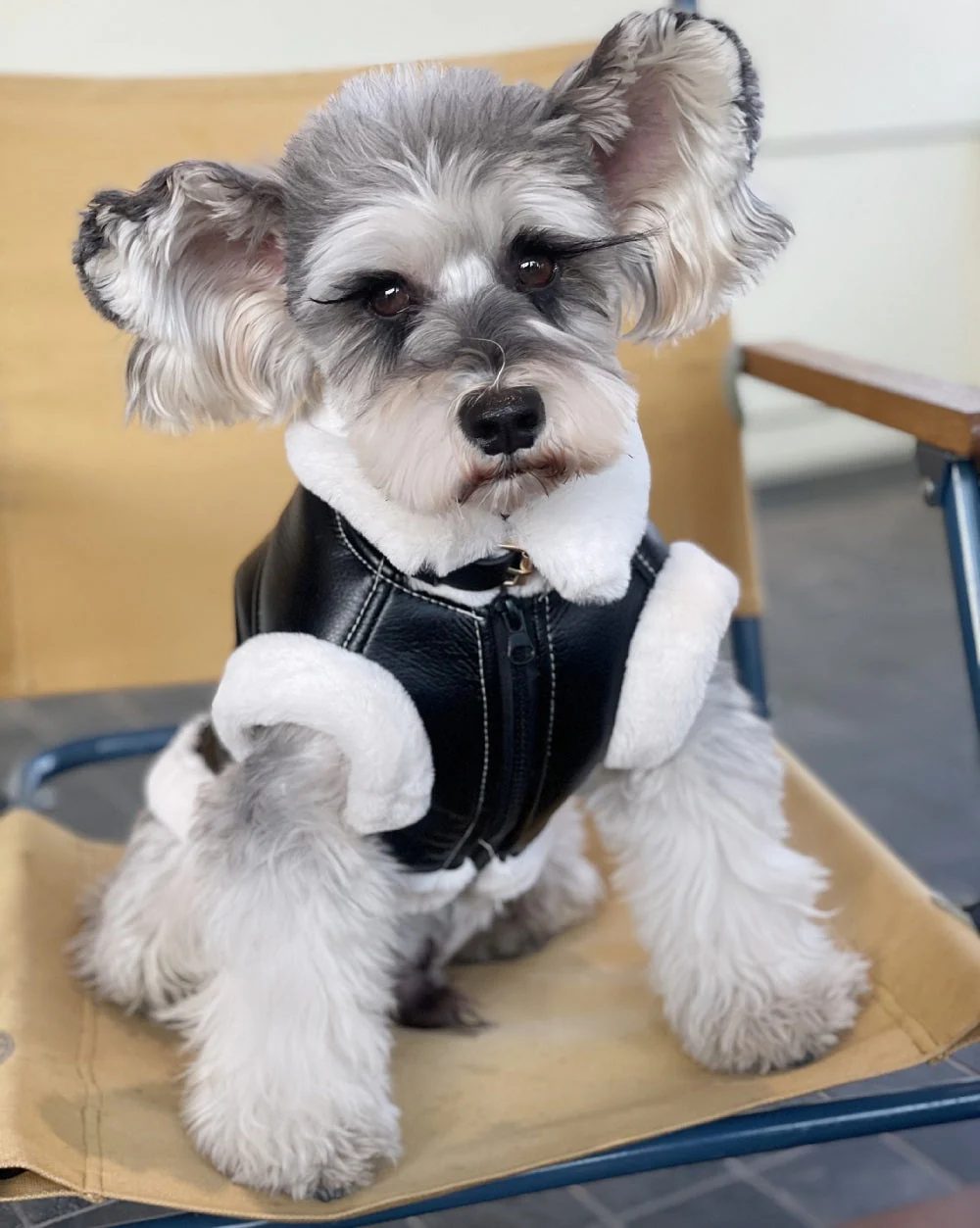 Furry Biker Pet Jacket Dog Clothing - Image 6