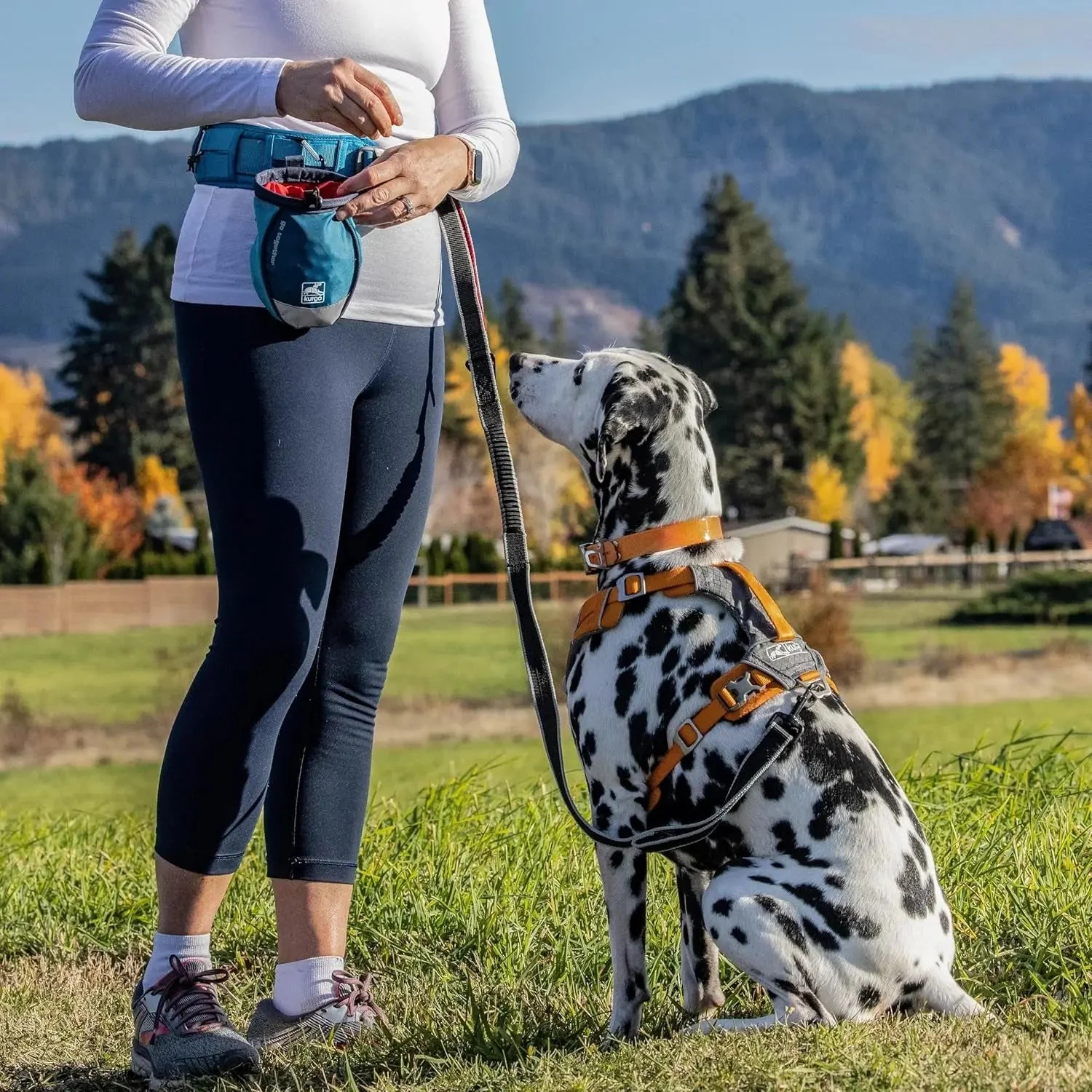 G-Train Dog Carrier Backpack - Comfortable Travel Bag for Pets up to 25 Lbs - Waterproof Bottom - Multi-Compartment Pack - Dog Hiking Gear - Rugged Adventure Backpack - Ink Blue - Image 2