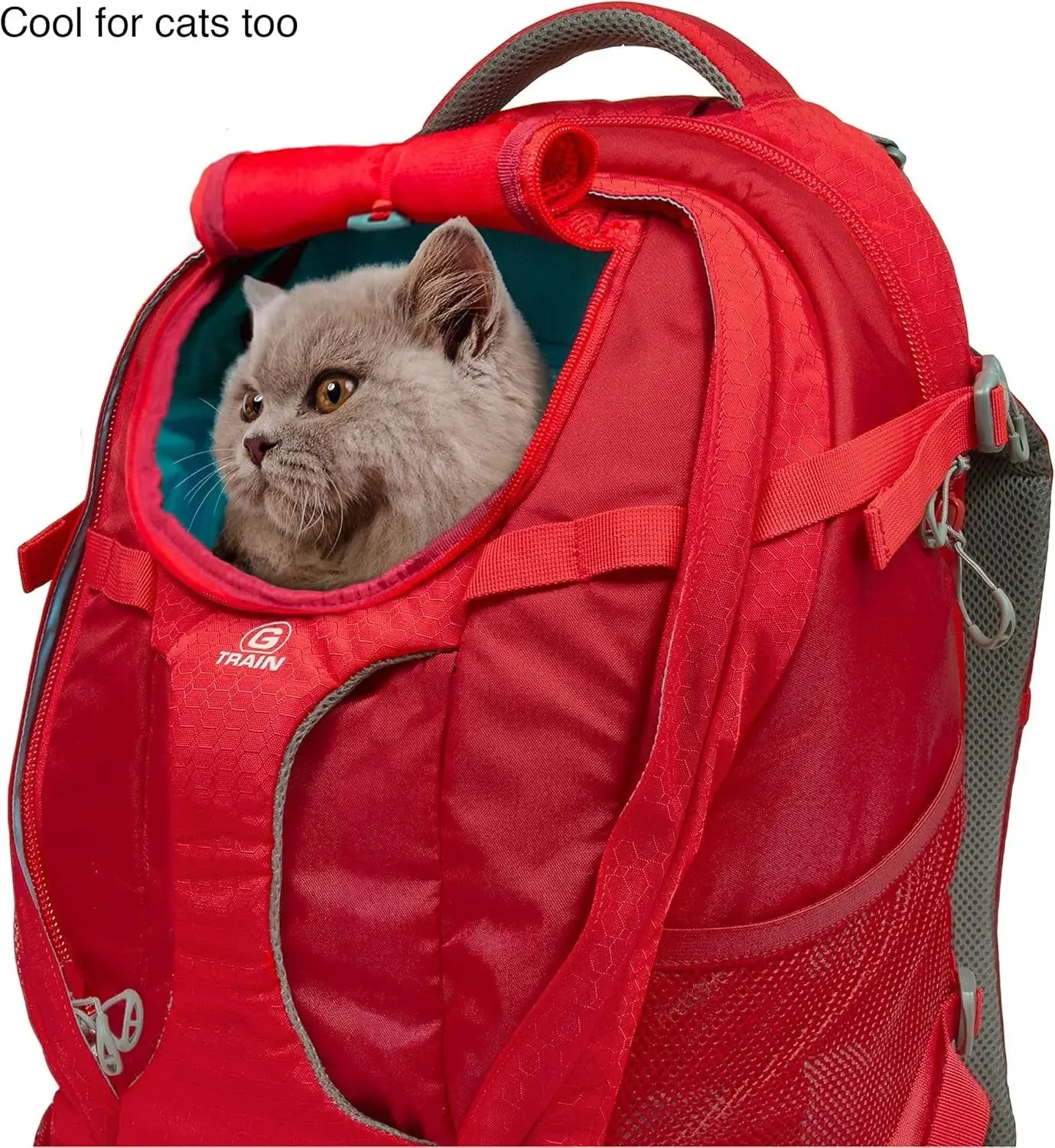 G-Train Dog Carrier Backpack - Comfortable Travel Bag - Waterproof Armorsole Base - Convertible Backpack to Carrier - Padded Laptop Compartment - Hands-Free Pet Travel Backpack - Image 6