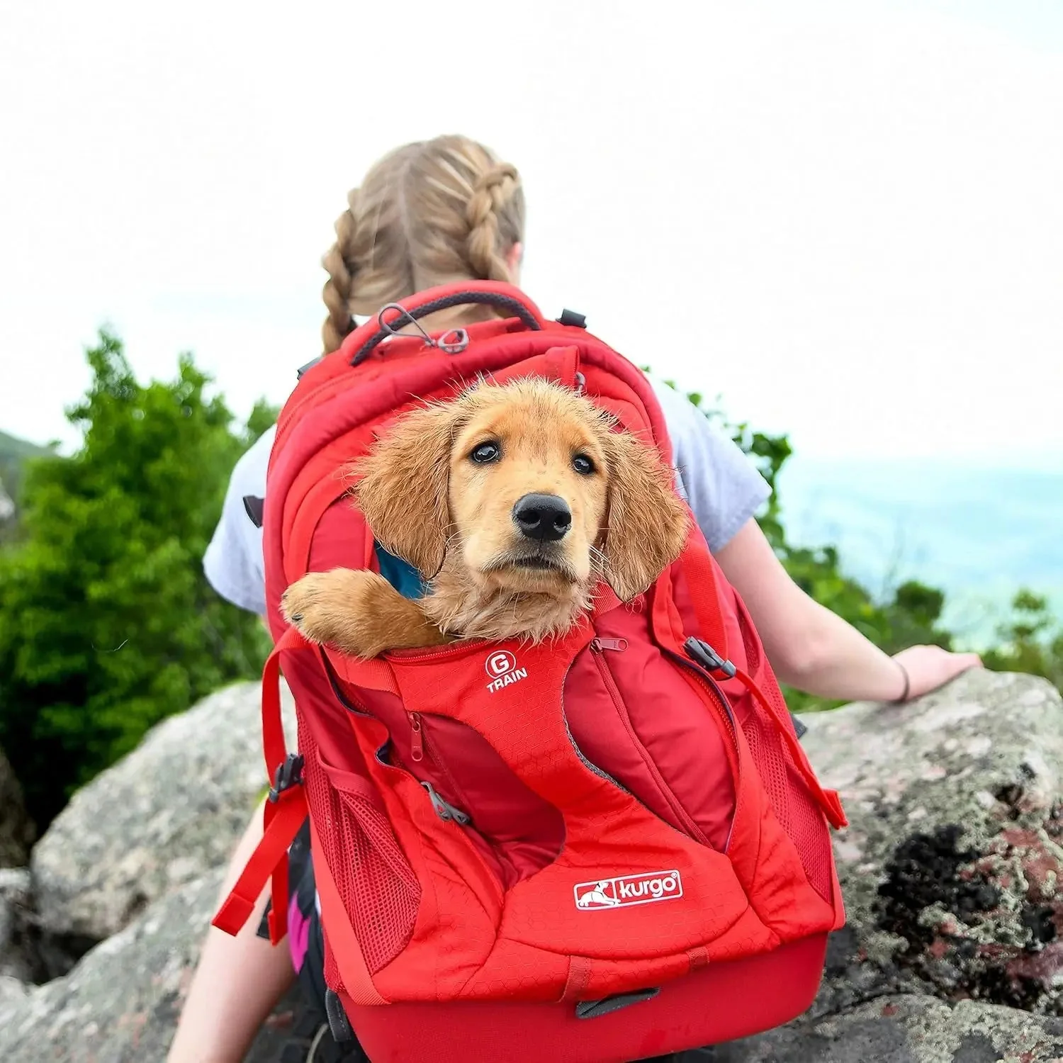 G-Train Dog Carrier Backpack - Comfortable Travel Bag - Waterproof Armorsole Base - Convertible Backpack to Carrier - Padded Laptop Compartment - Hands-Free Pet Travel Backpack - Image 7