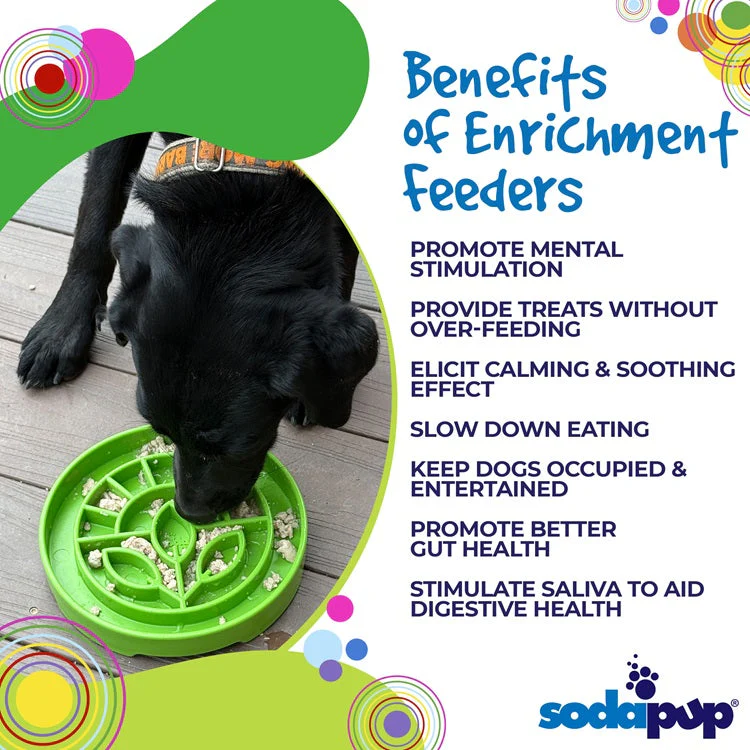 Garden Design eTray - Shallow Slow Feeder Dog Bowl for Enrichment | USA - Image 3