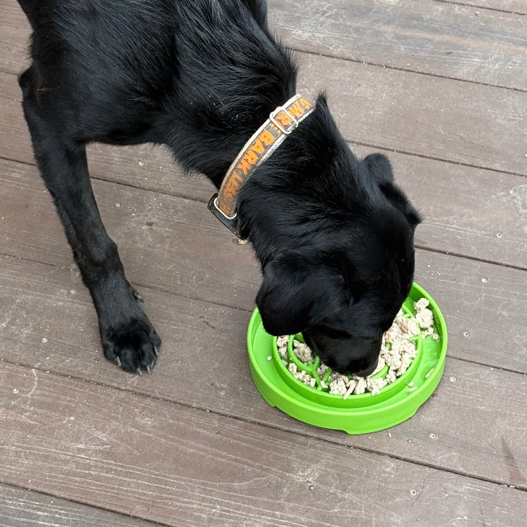 Garden Design eTray - Shallow Slow Feeder Dog Bowl for Enrichment | USA - Image 6