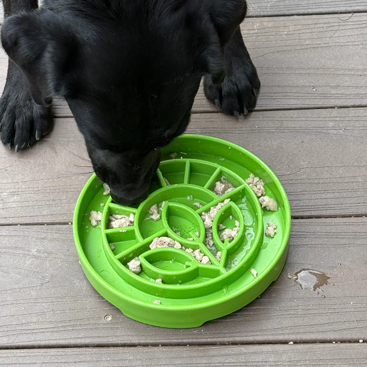 Garden Design eTray - Shallow Slow Feeder Dog Bowl for Enrichment | USA - Image 7