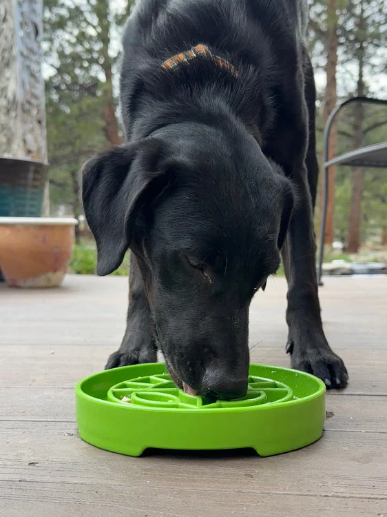 Garden Design eTray - Shallow Slow Feeder Dog Bowl for Enrichment | USA - Image 8