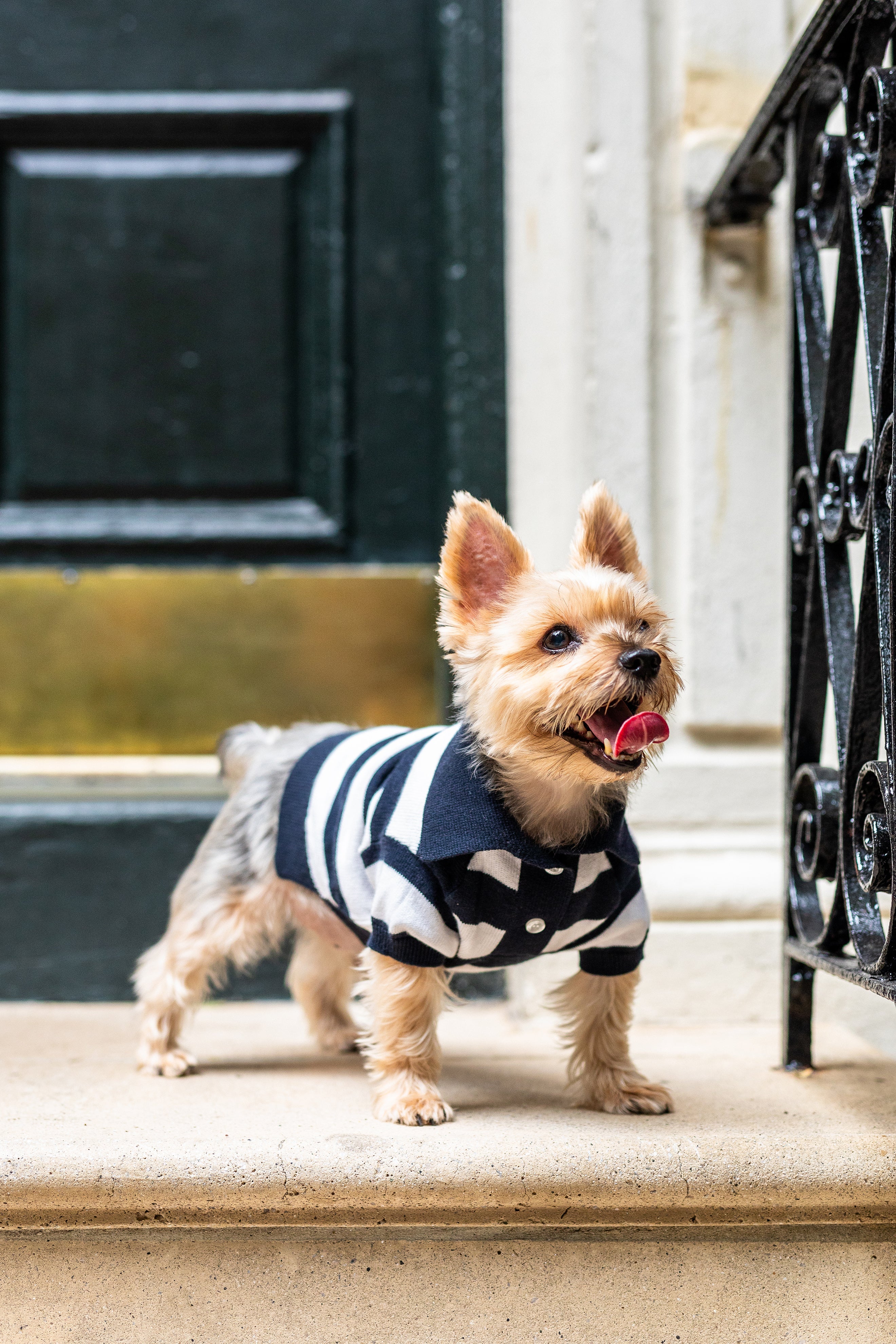 ‘Gene’ Cashmere blend Polo - Image 3