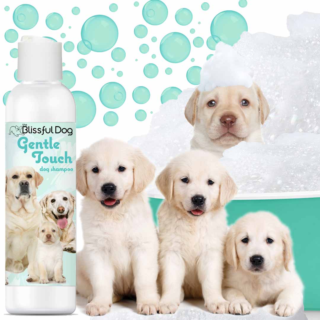 Gentle Touch Dog Shampoo & Soap - Image 2