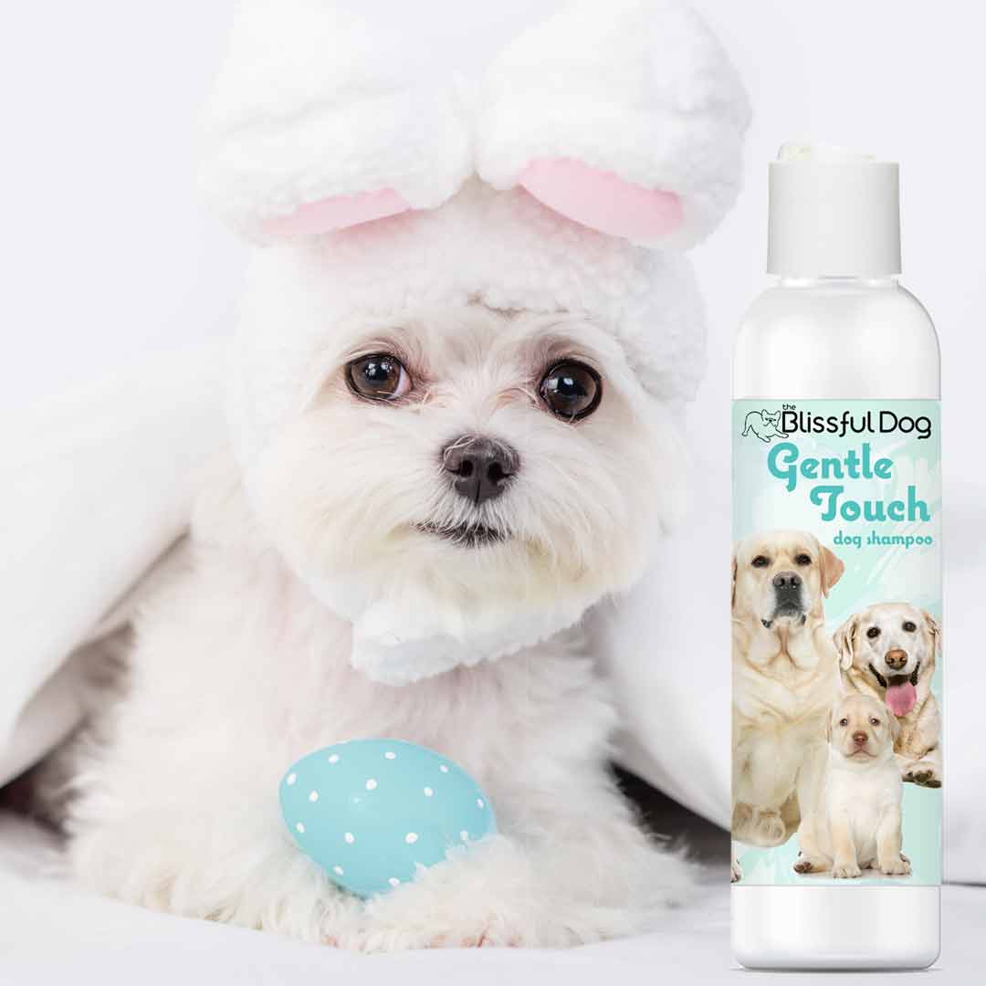 Gentle Touch Dog Shampoo & Soap - Image 3