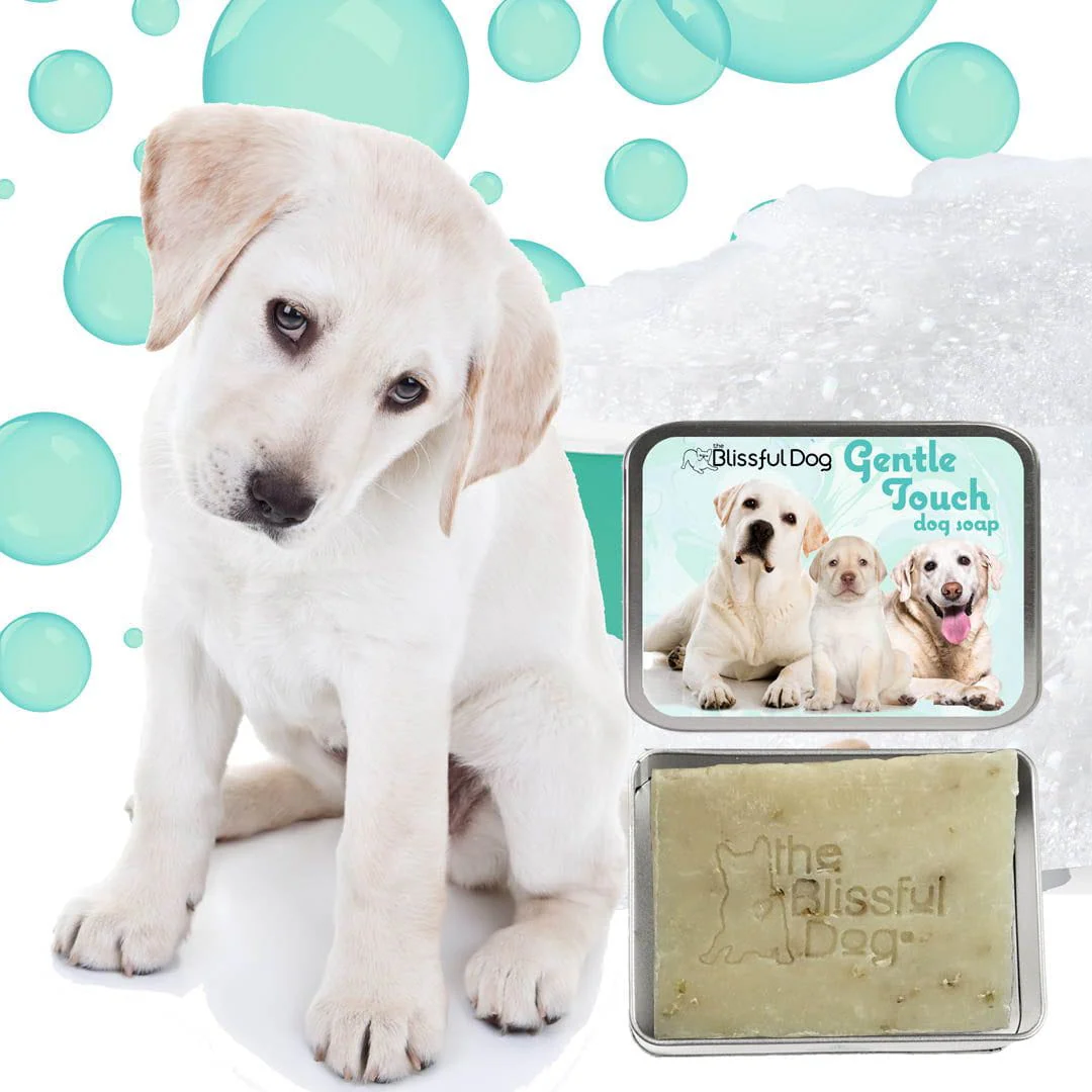 Gentle Touch Dog Shampoo & Soap - Image 5