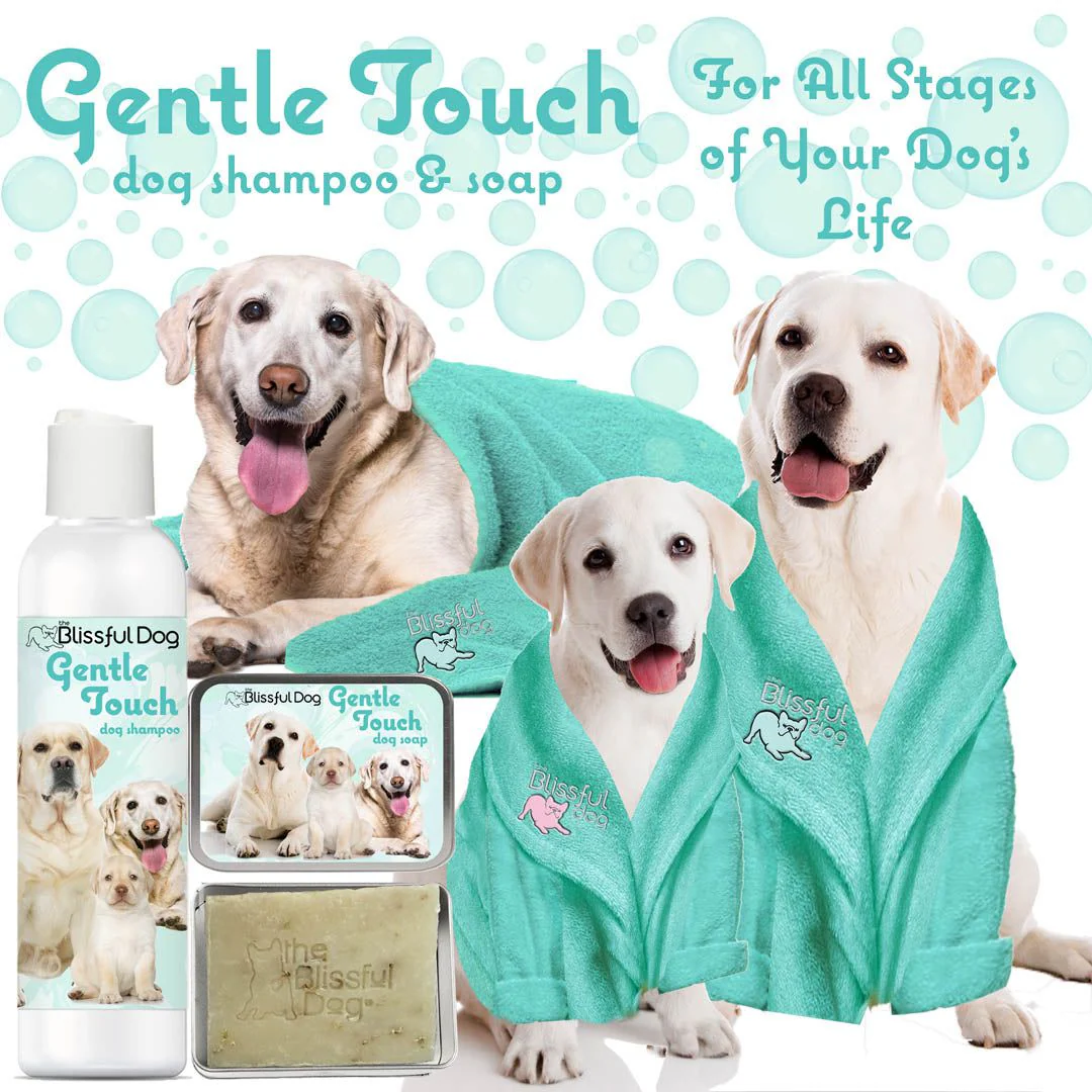 Gentle Touch Dog Shampoo & Soap - Image 6