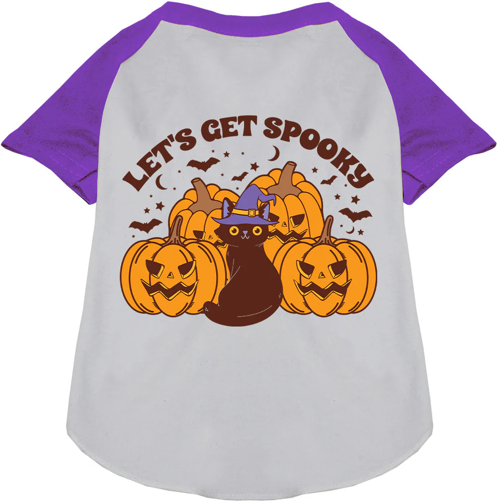 Get Spooky Pet Raglan Shirt - Image 5