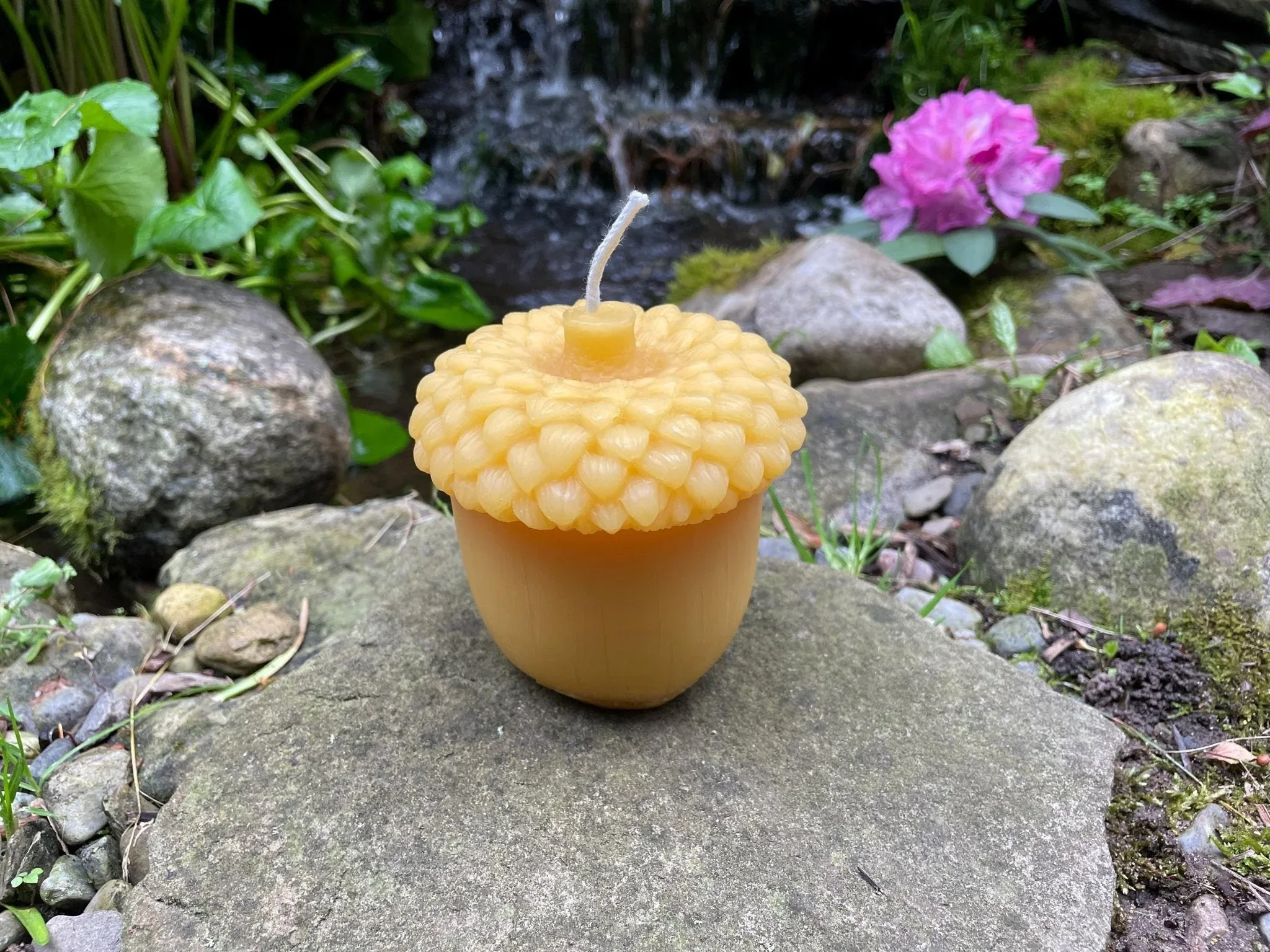 Giant Acorn Beeswax Candle - Image 2