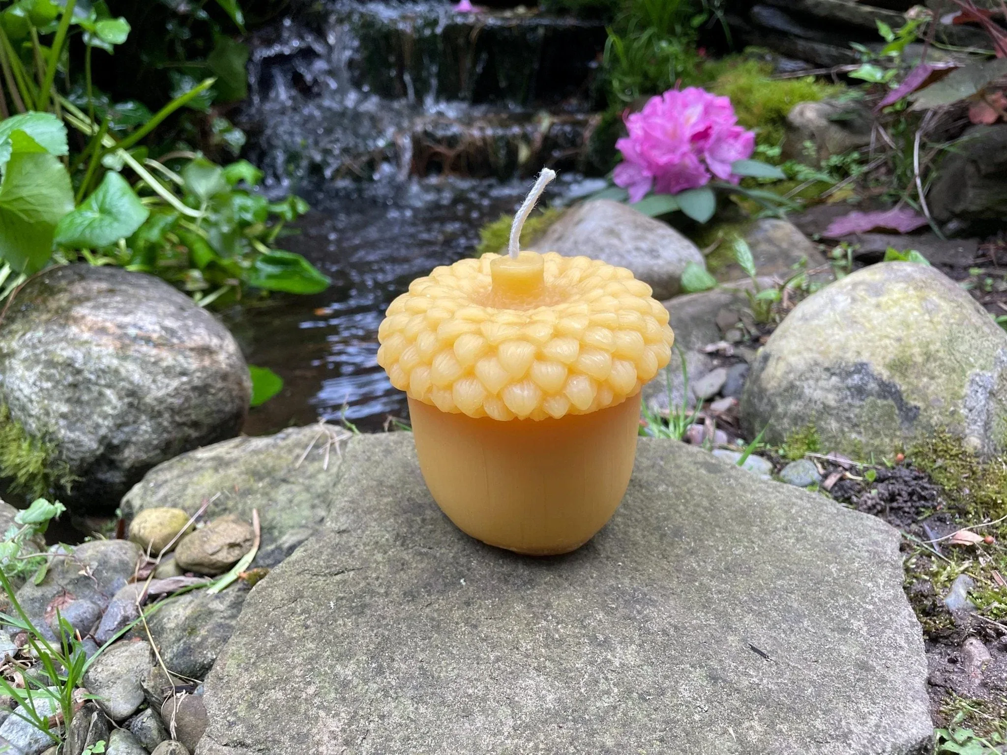 Giant Acorn Beeswax Candle - Image 3