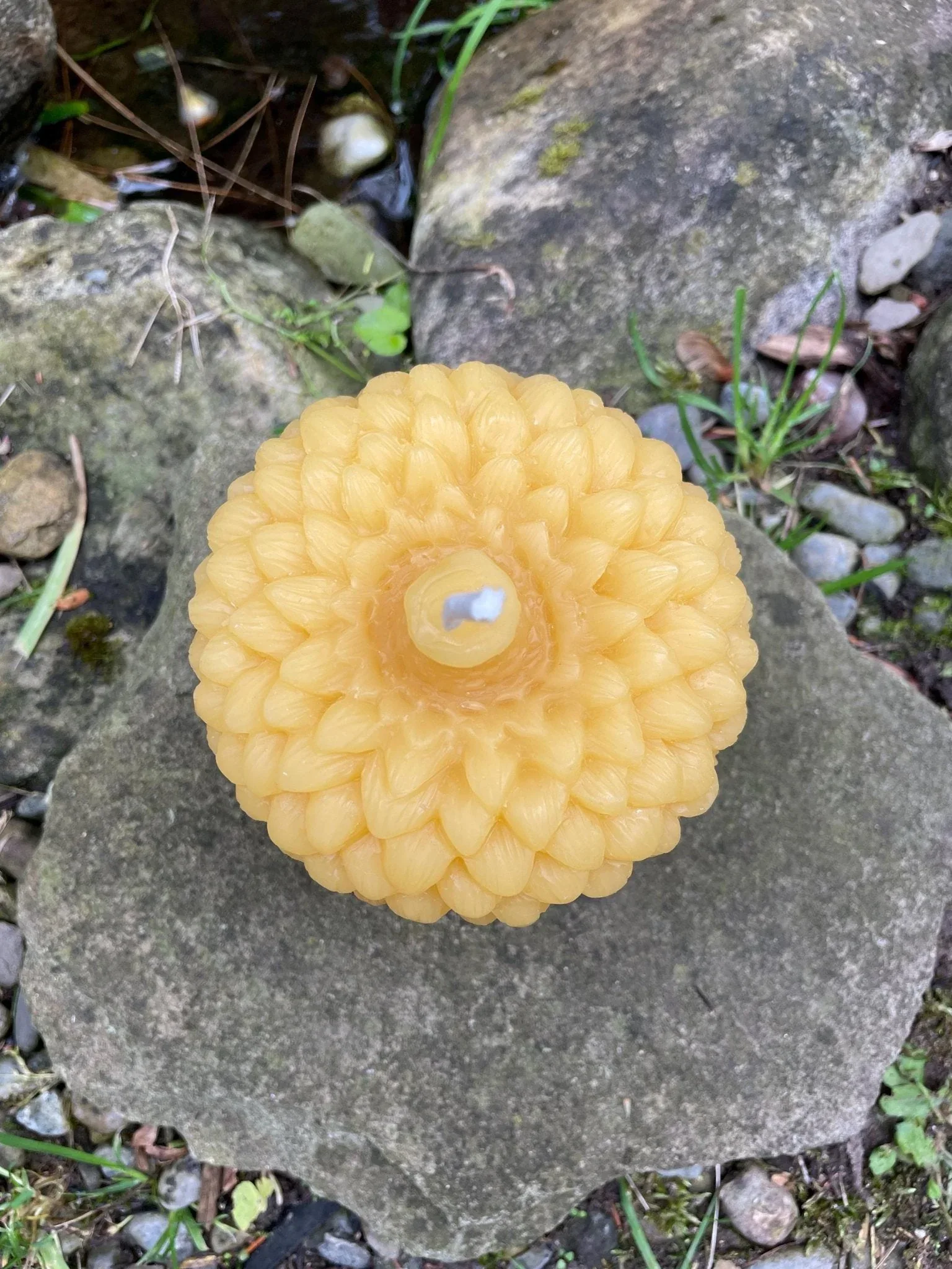 Giant Acorn Beeswax Candle - Image 4