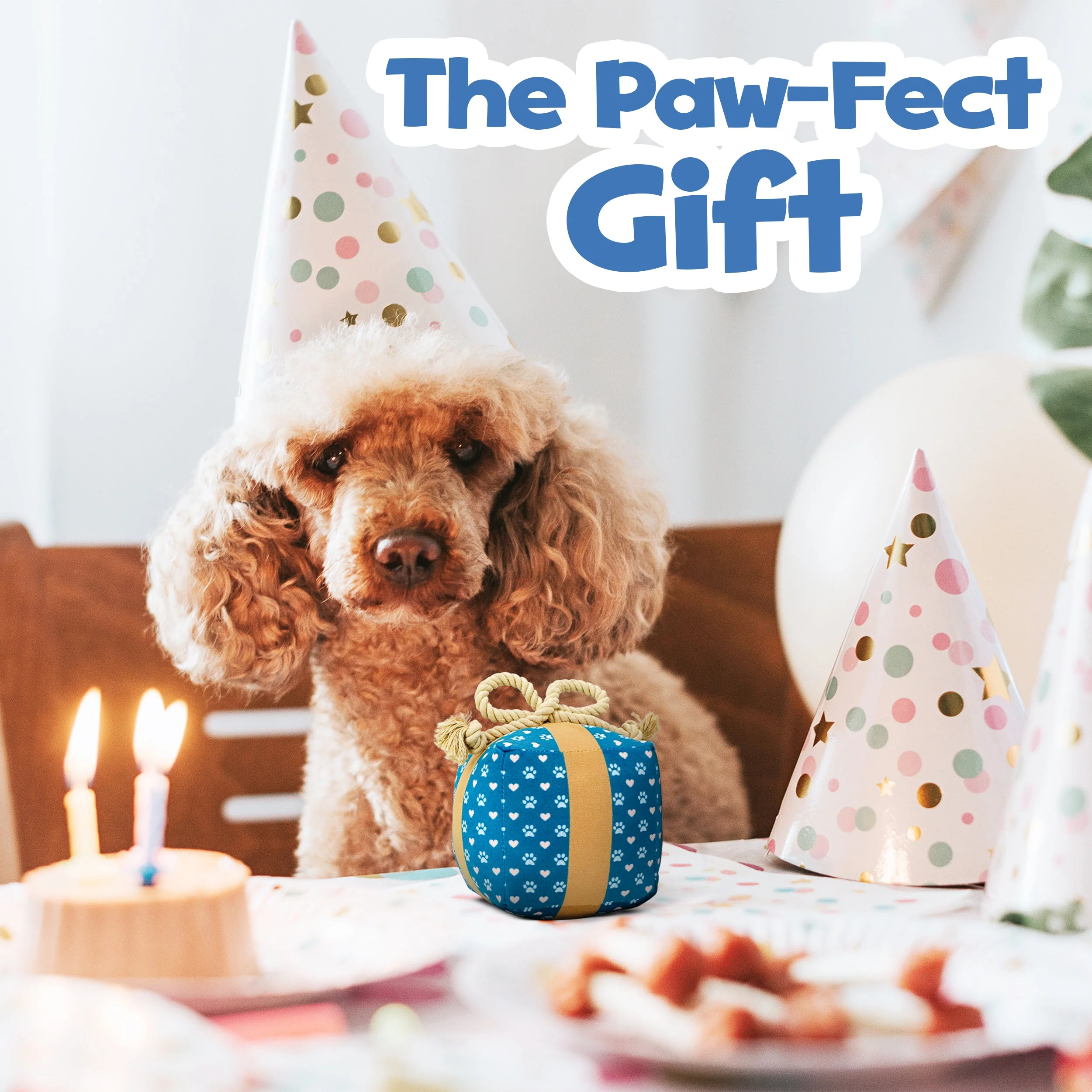 Gift Box Squeaky Dog Toy – Birthday Present Dog Toy with Crinkle Paper and Rope Bow, Durable & Plush for Tug of War and Chew Play - Image 4