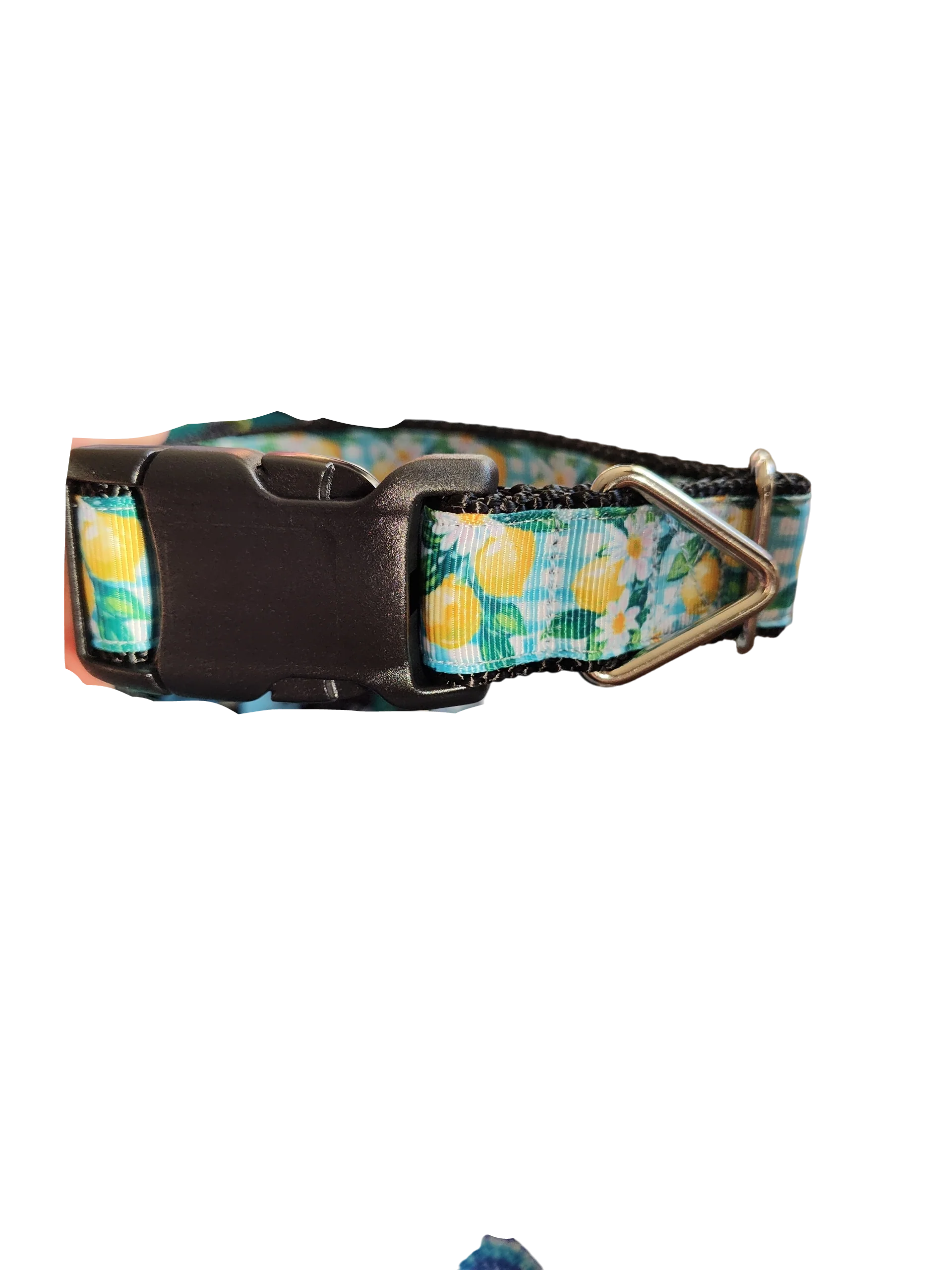 Gingham Lemons Nylon Dog Collar - Image 2