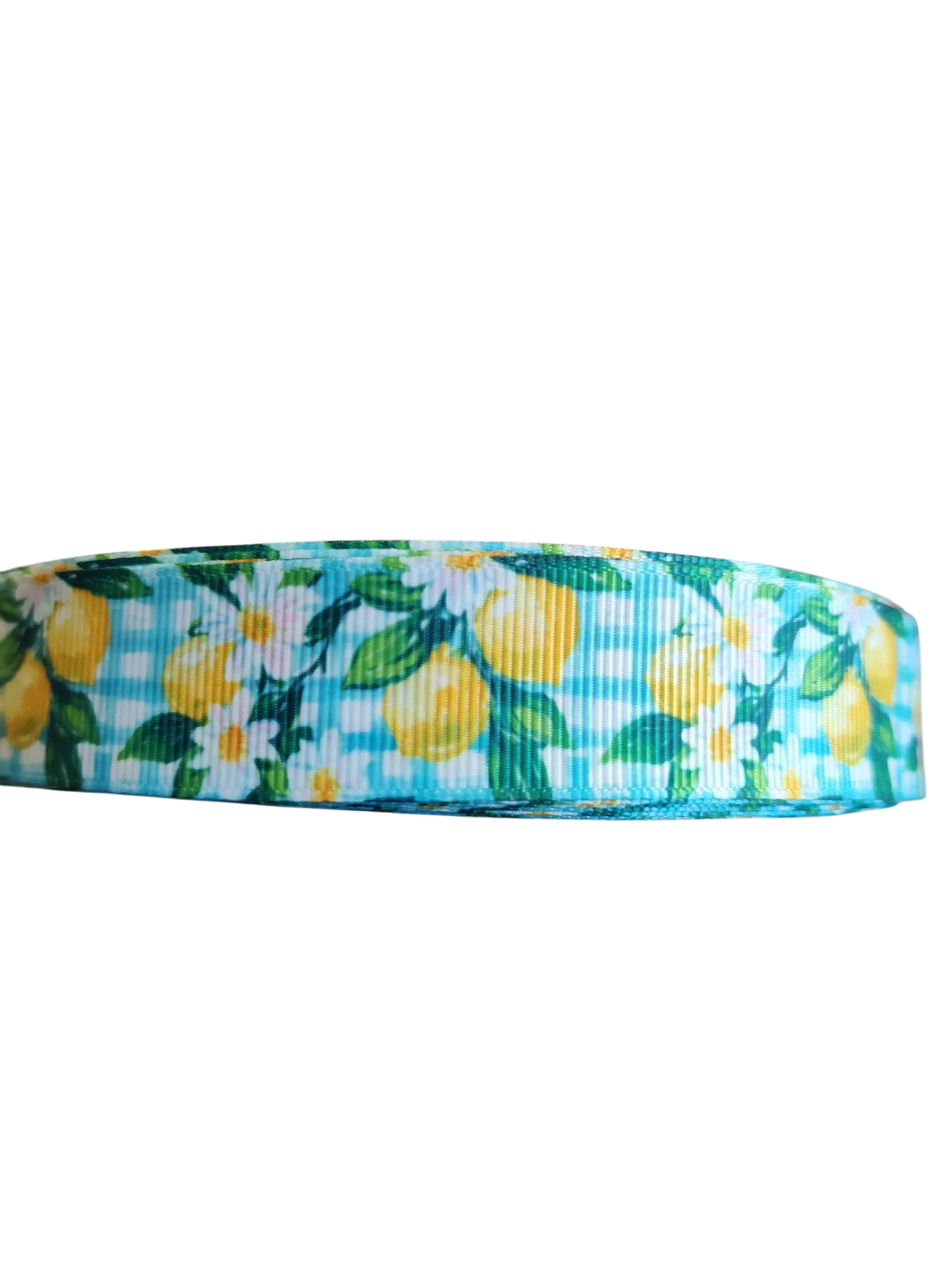 Gingham Lemons Nylon Dog Collar - Image 3