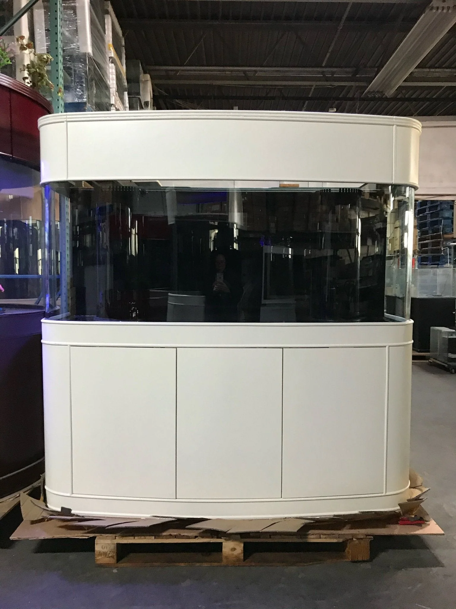 Glass Bowfront - Image 10