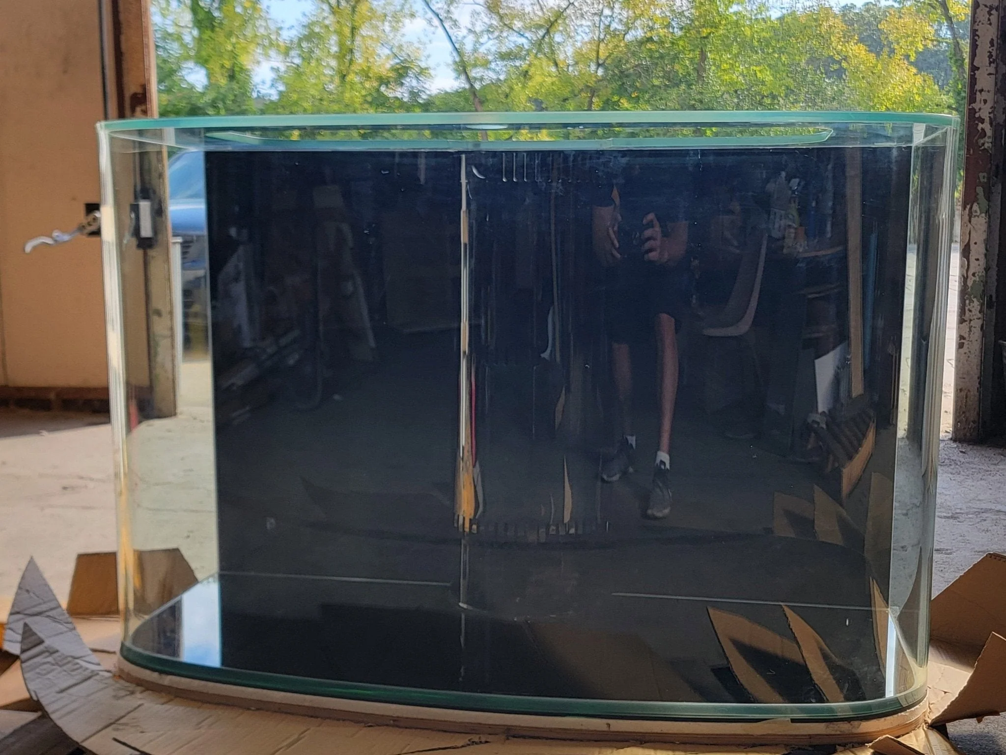 Glass Bowfront - Image 18