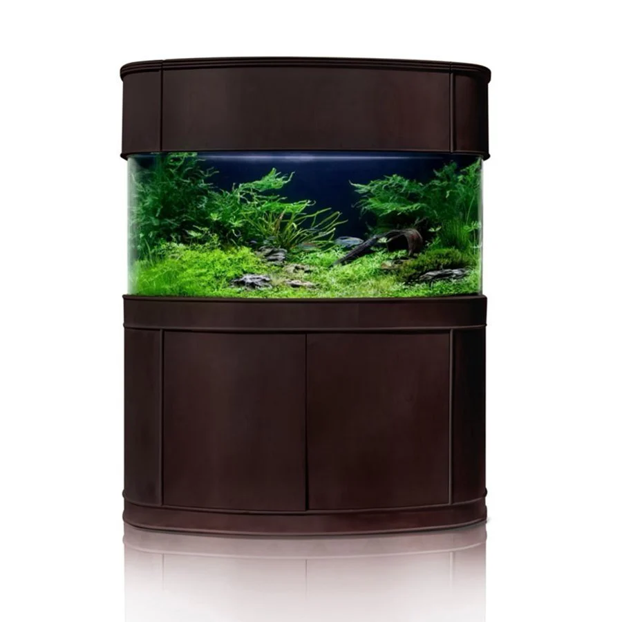 Glass Bowfront - Image 3