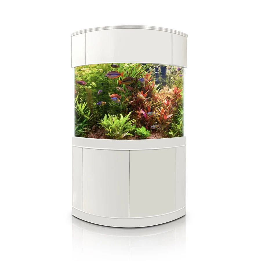 Glass Corner - Image 2
