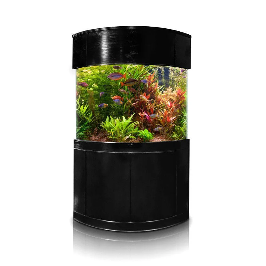 Glass Corner - Image 6