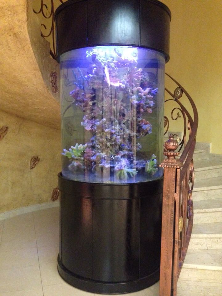 Glass Full Cylinder - Image 10