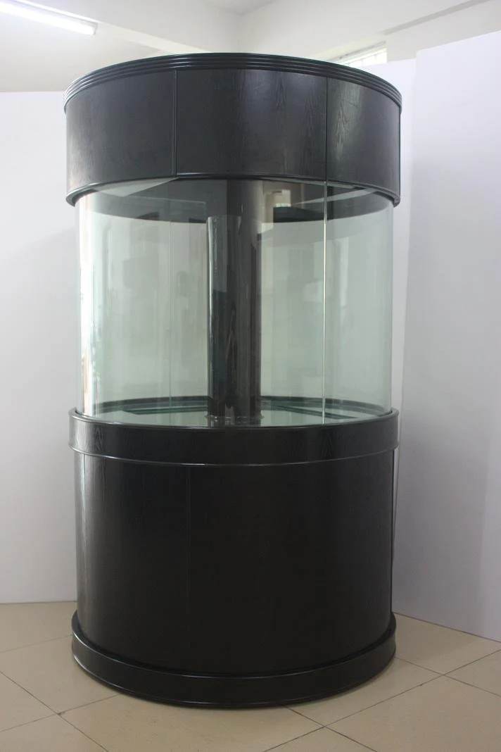 Glass Full Cylinder - Image 12